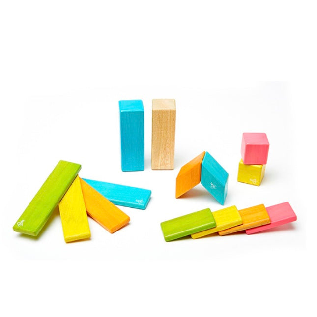 14 Piece Magnetic Wooden Block Set- Assorted Colors