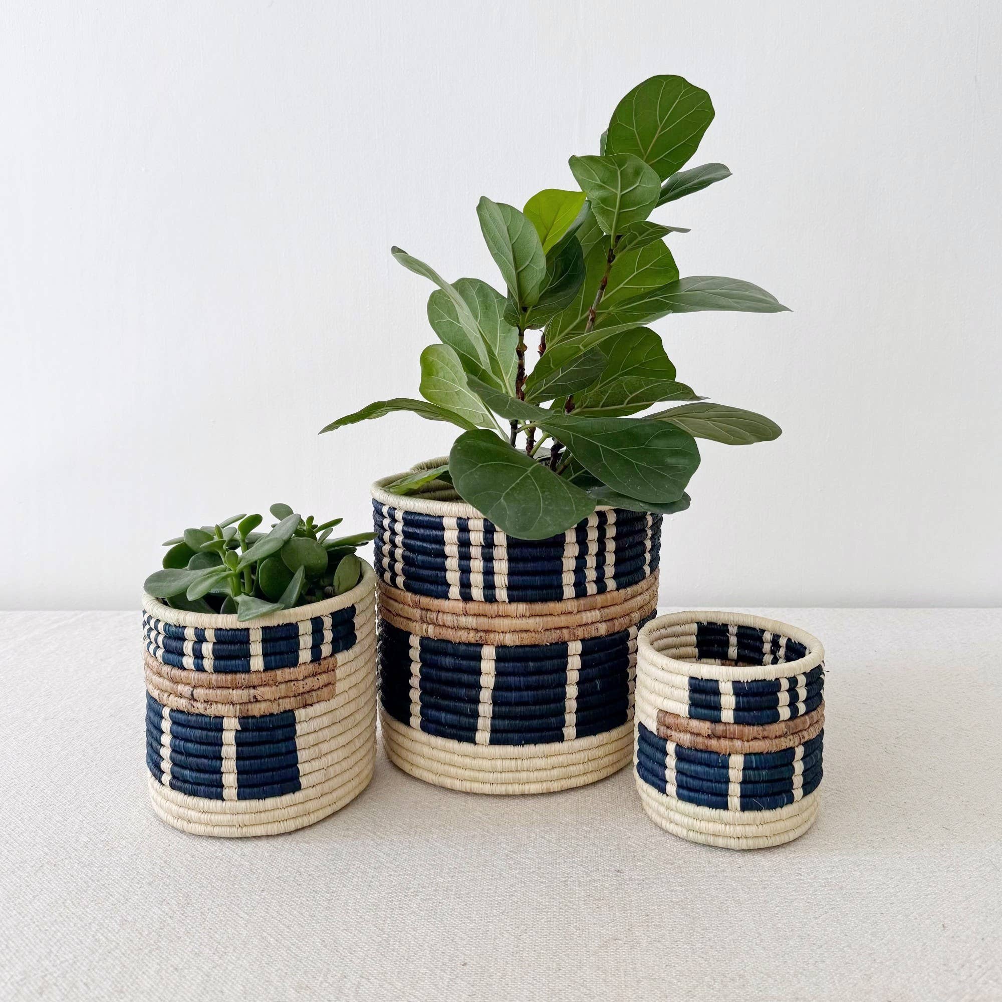 Bamba Sweetgrass Basket-Assorted Sizes- Sold Individually