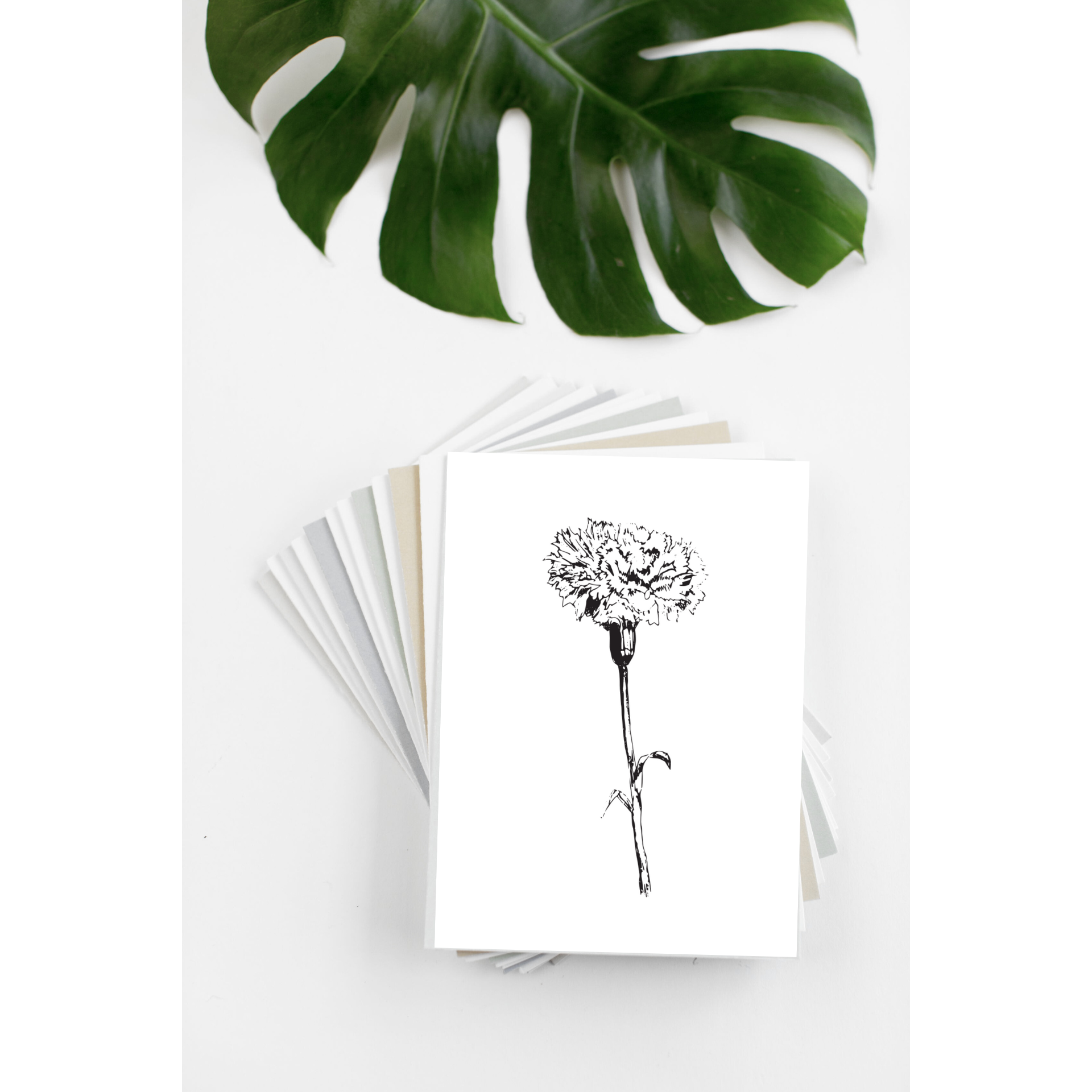 Black & White Floral Greeting Card- Assorted Designs- Sold Individually