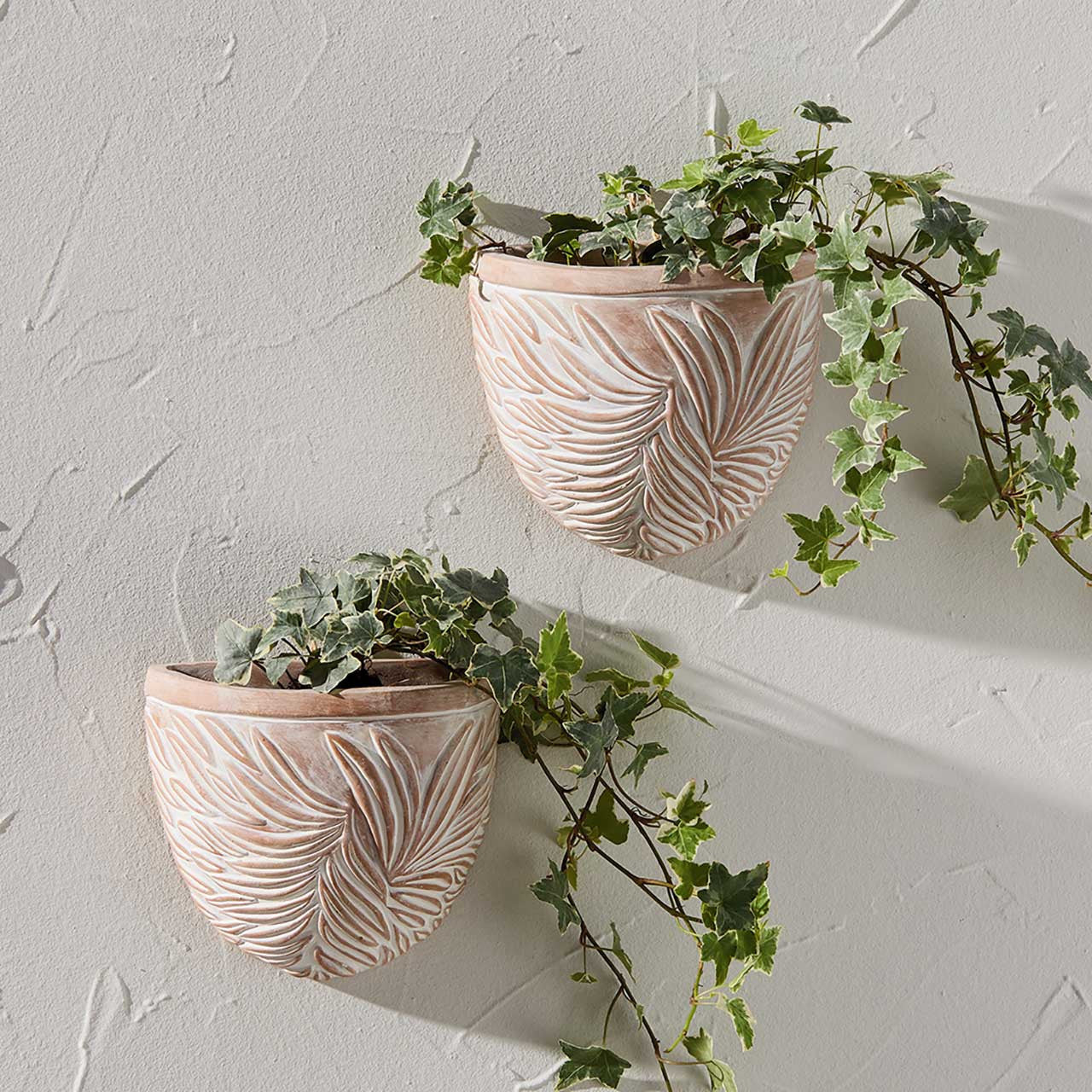 Botanical Terracotta Wall Planter- Sold Individually (*Local Pickup/Local Delivery Only) (Copy)
