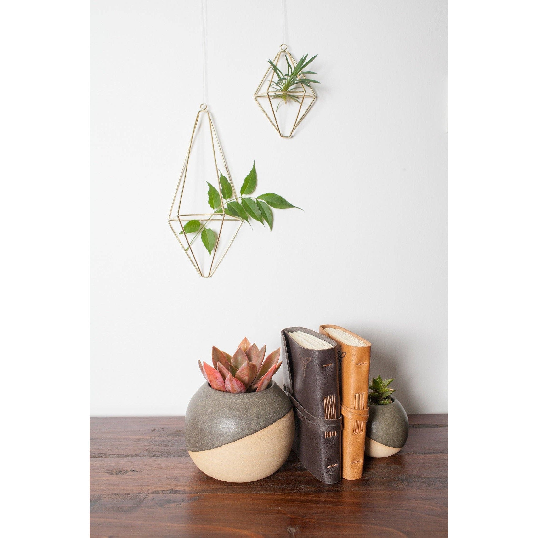Brass Wall Planter - Assorted Sizes- Sold Individually
