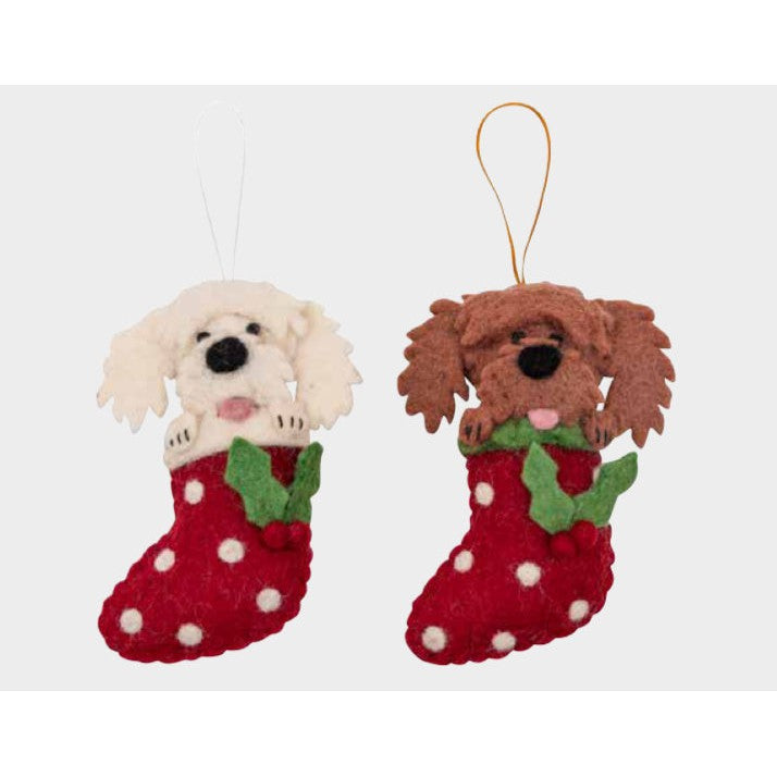 Cavoodle in Stocking Ornament- Assorted Colors-Sold Individually