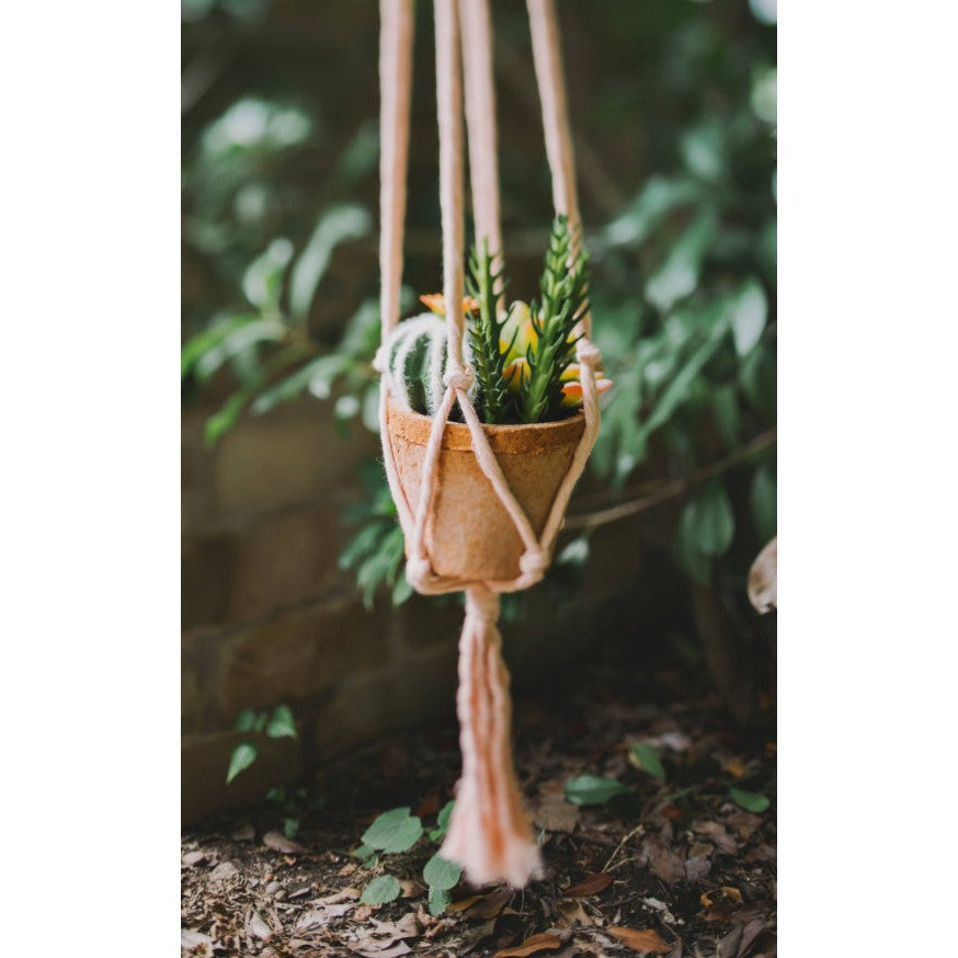 Flourish Plant Hanger