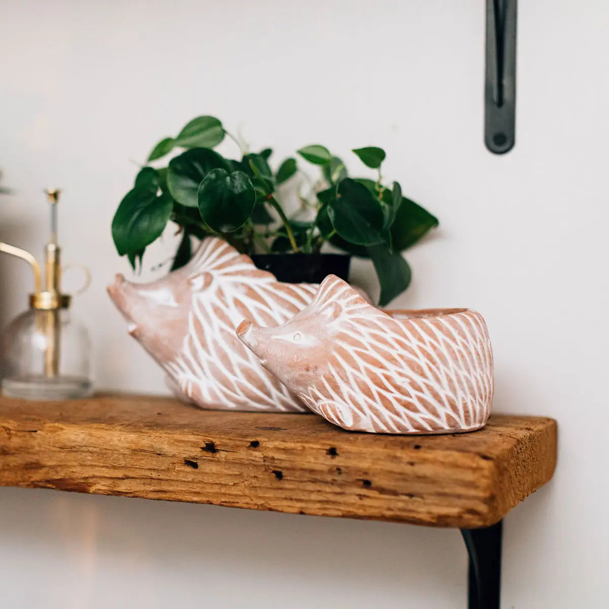 Hedgehog Planter - Assorted Sizes- Sold Individually (* Local Pickup / Local Delivery Only)