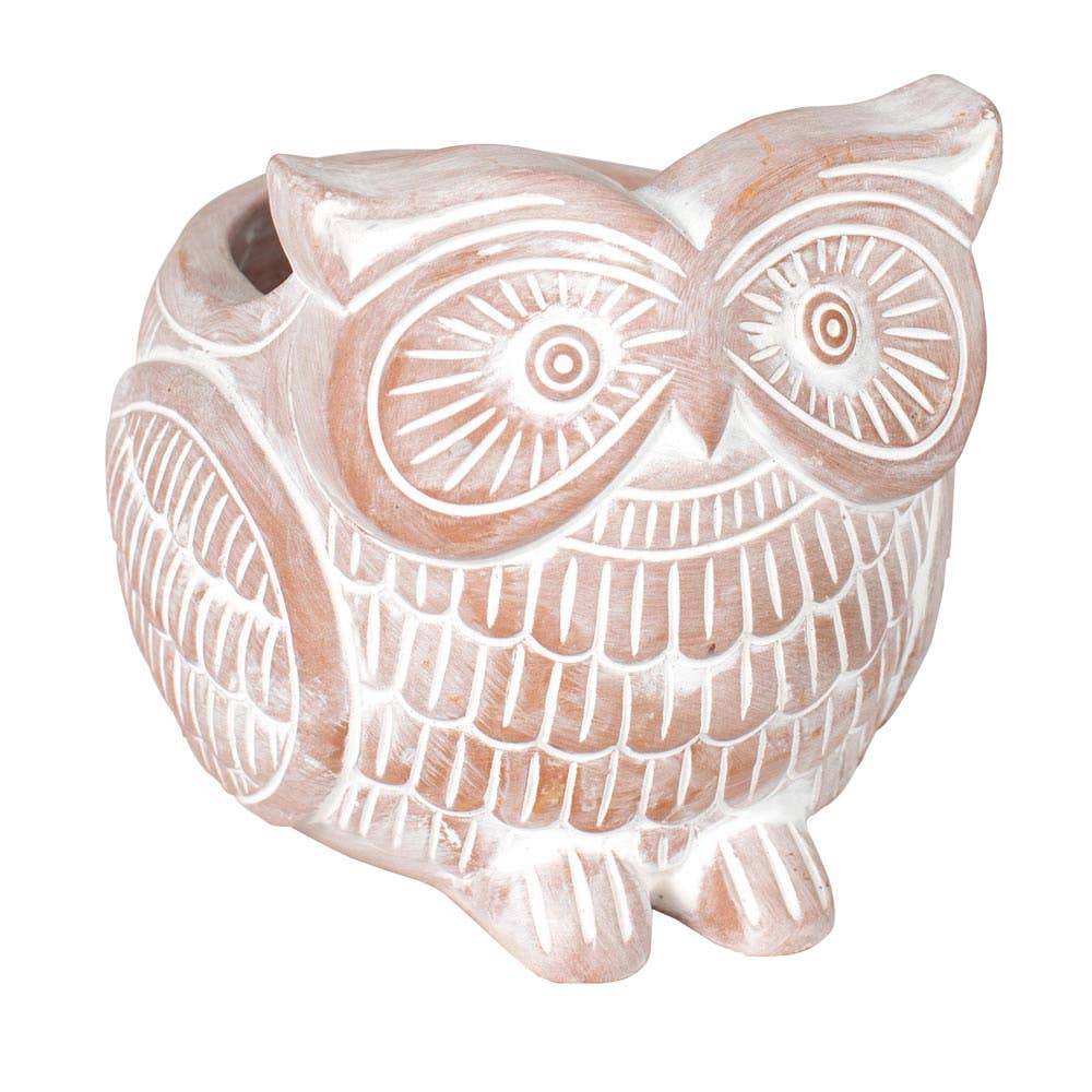 Owl Planter (*Local Pickup/ Local Delivery Only)