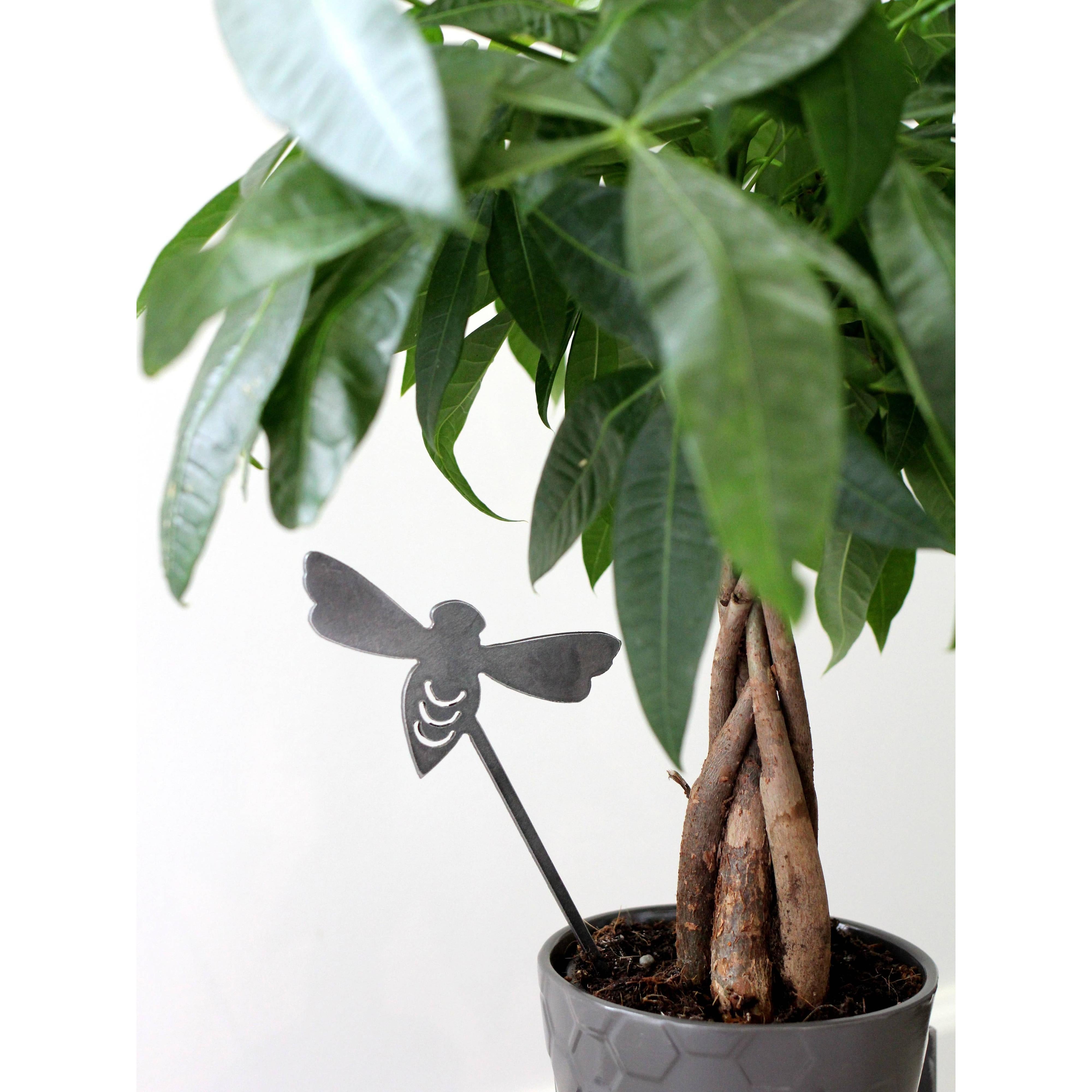 Plant Stake- Assorted Designs