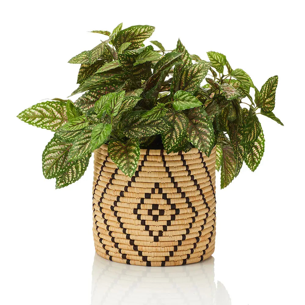 raffia plant pots Raffia Plant Cover (*Local Pickup/Local Delivery Only)