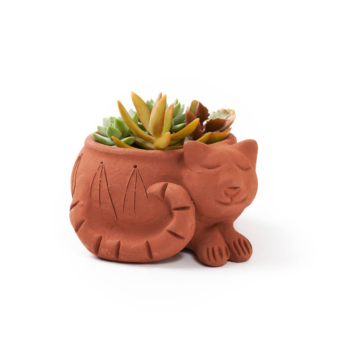 Rakshana Cat Plant Pot - Terracotta