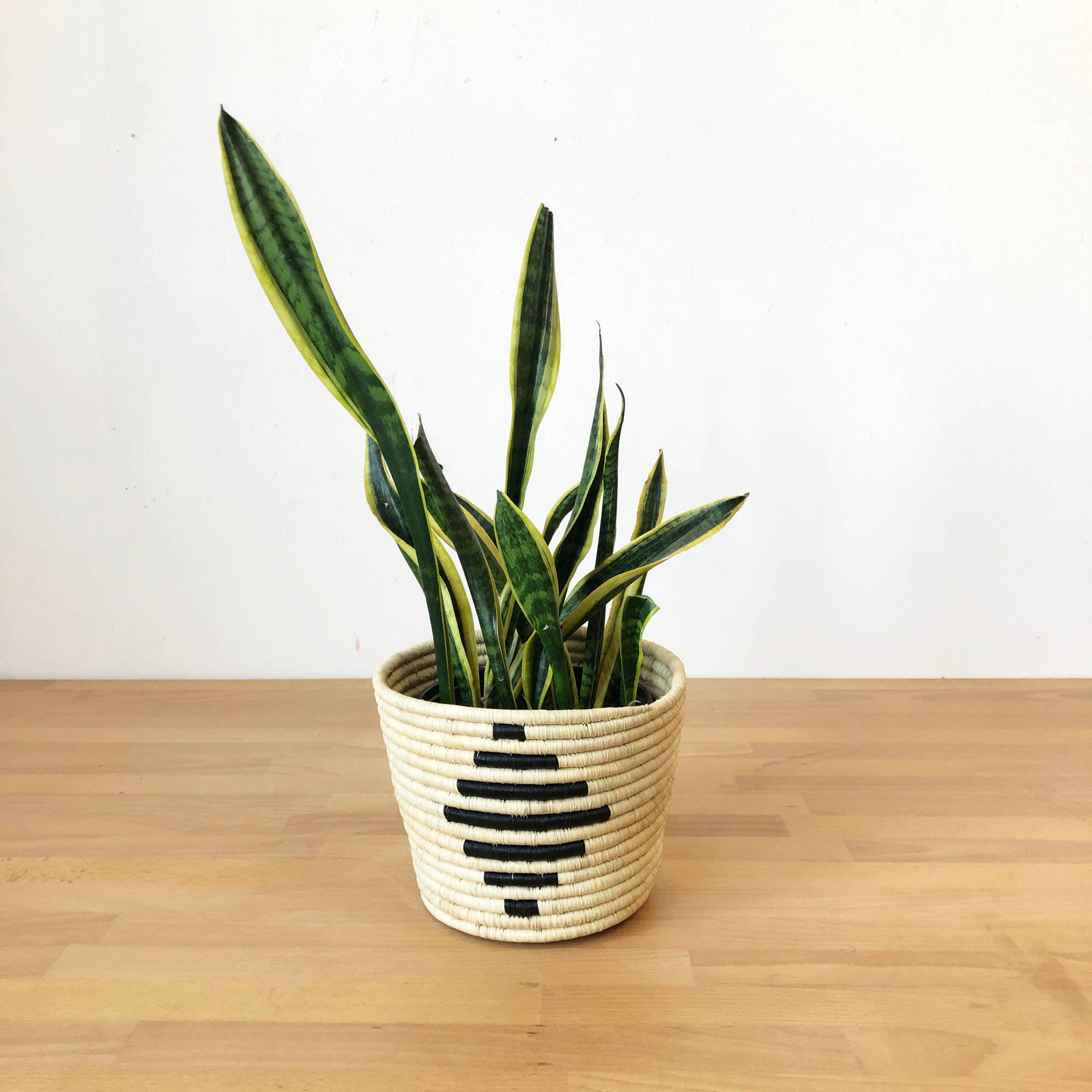 Storage Plant Basket: Nsyo
