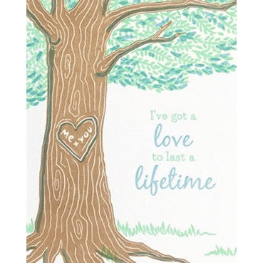 Lifetime Love
