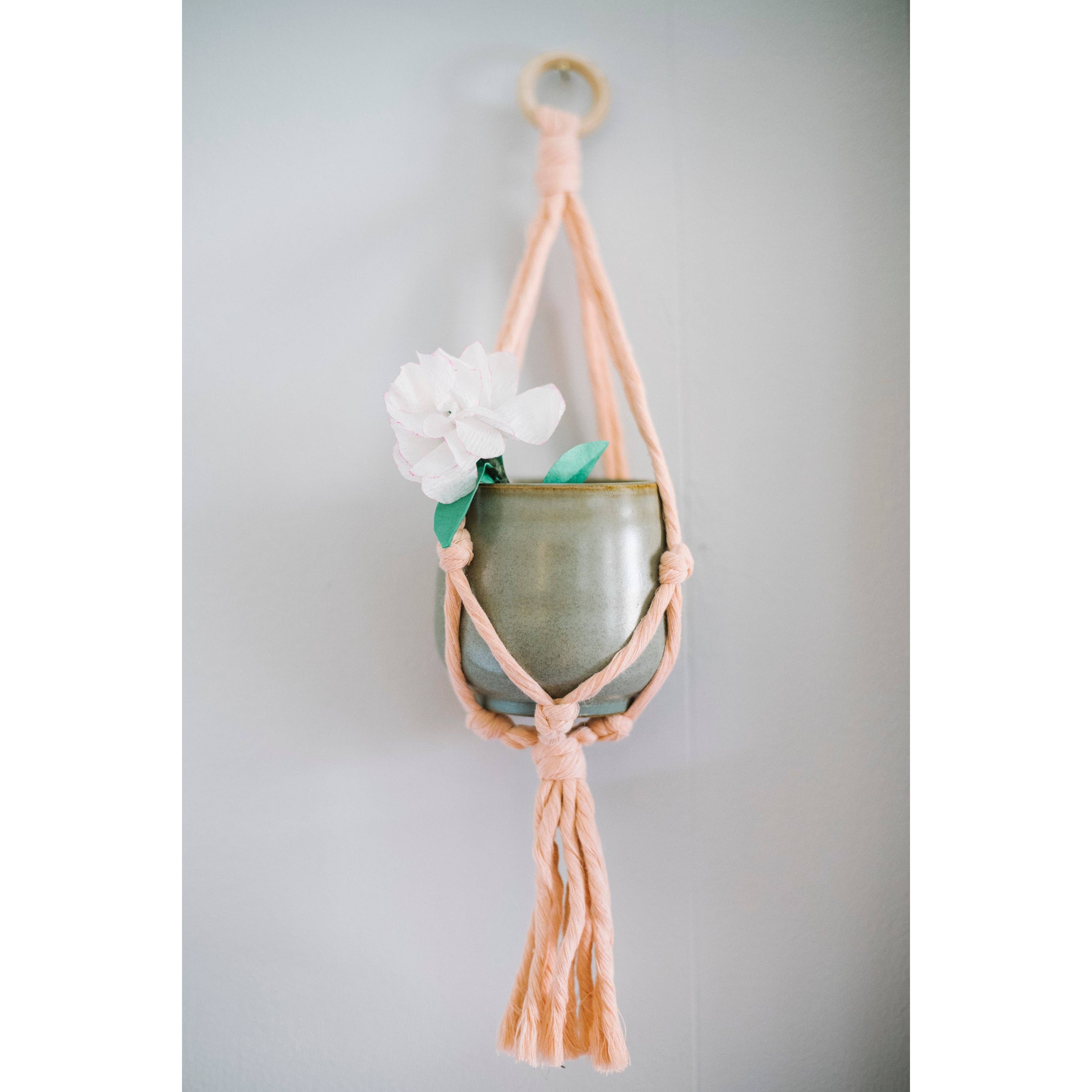 Mini Flourish Plant Hanger