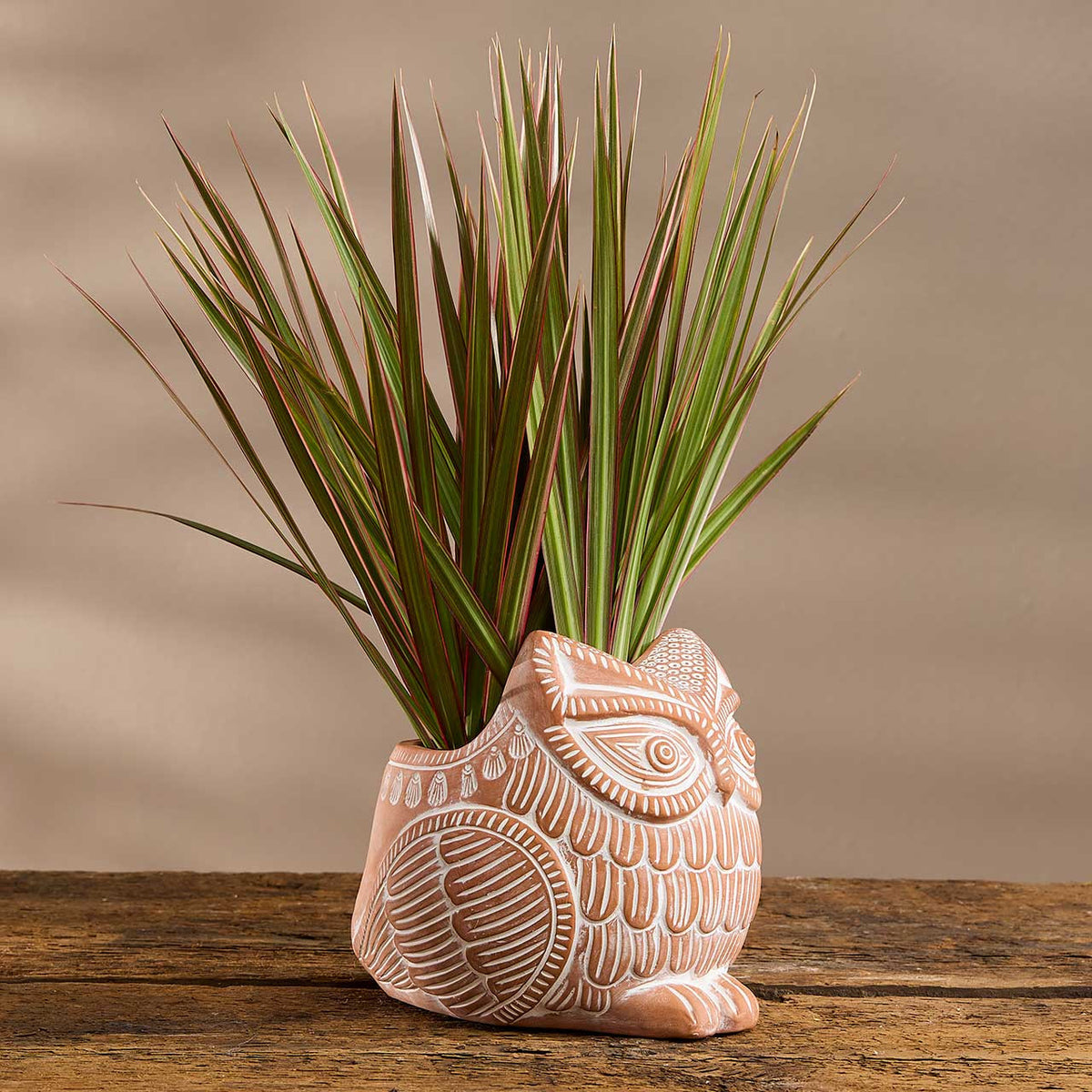 Owl Terracotta Planter (*Local Pickup/Local Delivery Only)