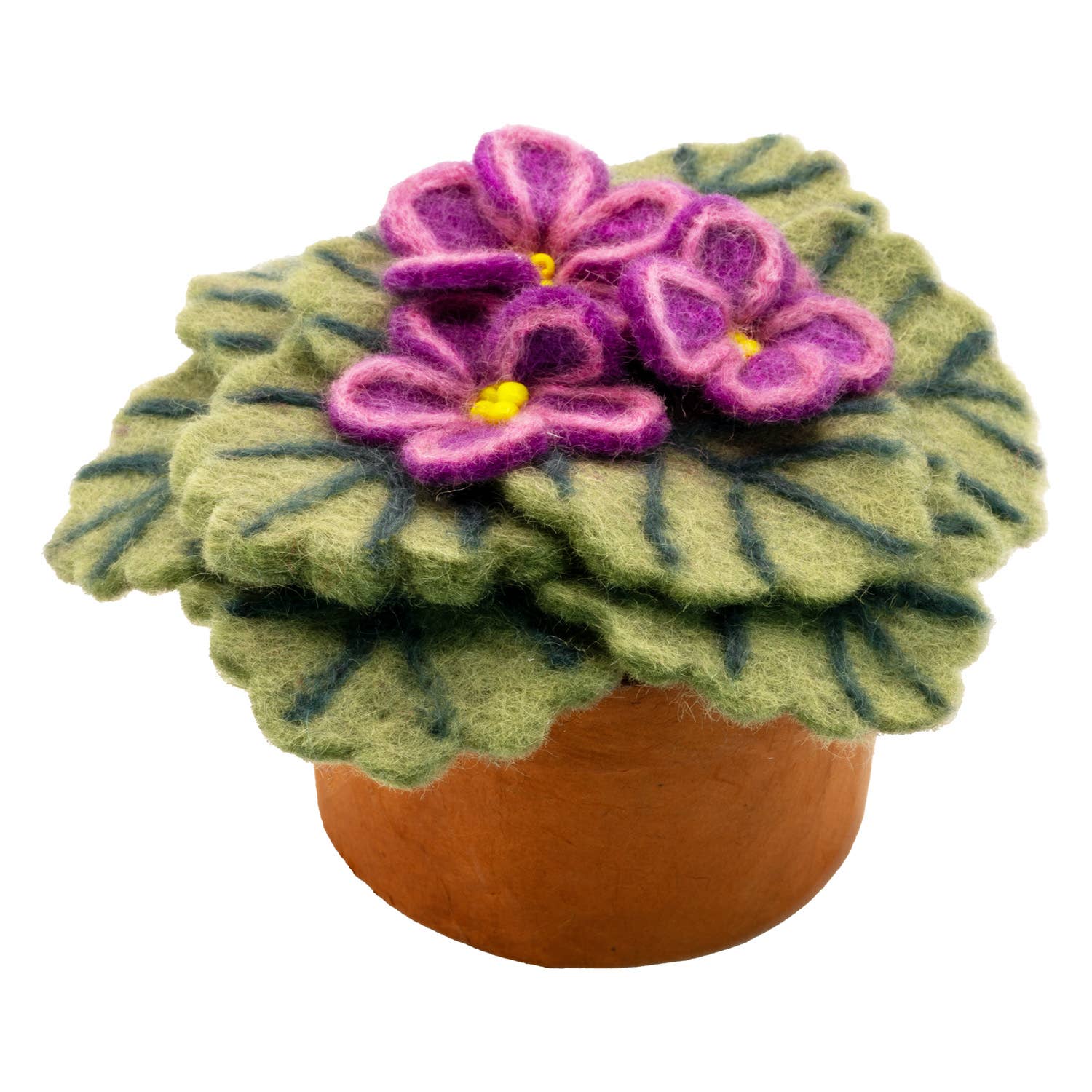 African Violet Potted Plant