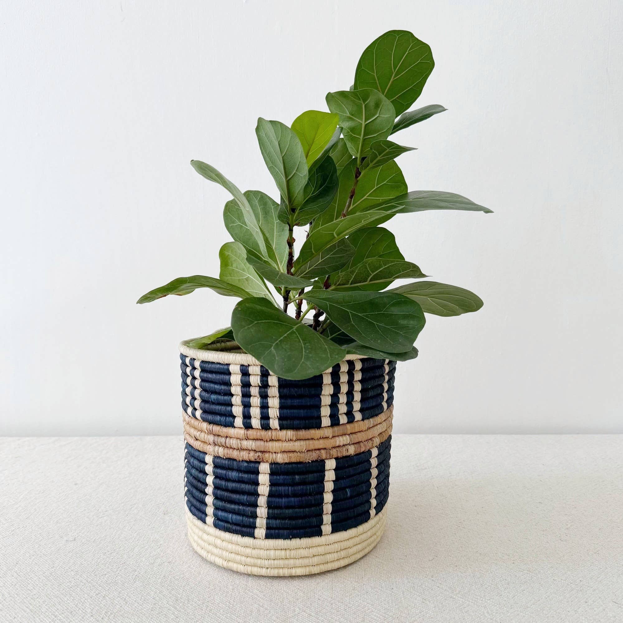 Bamba Sweetgrass Basket-Assorted Sizes- Sold Individually