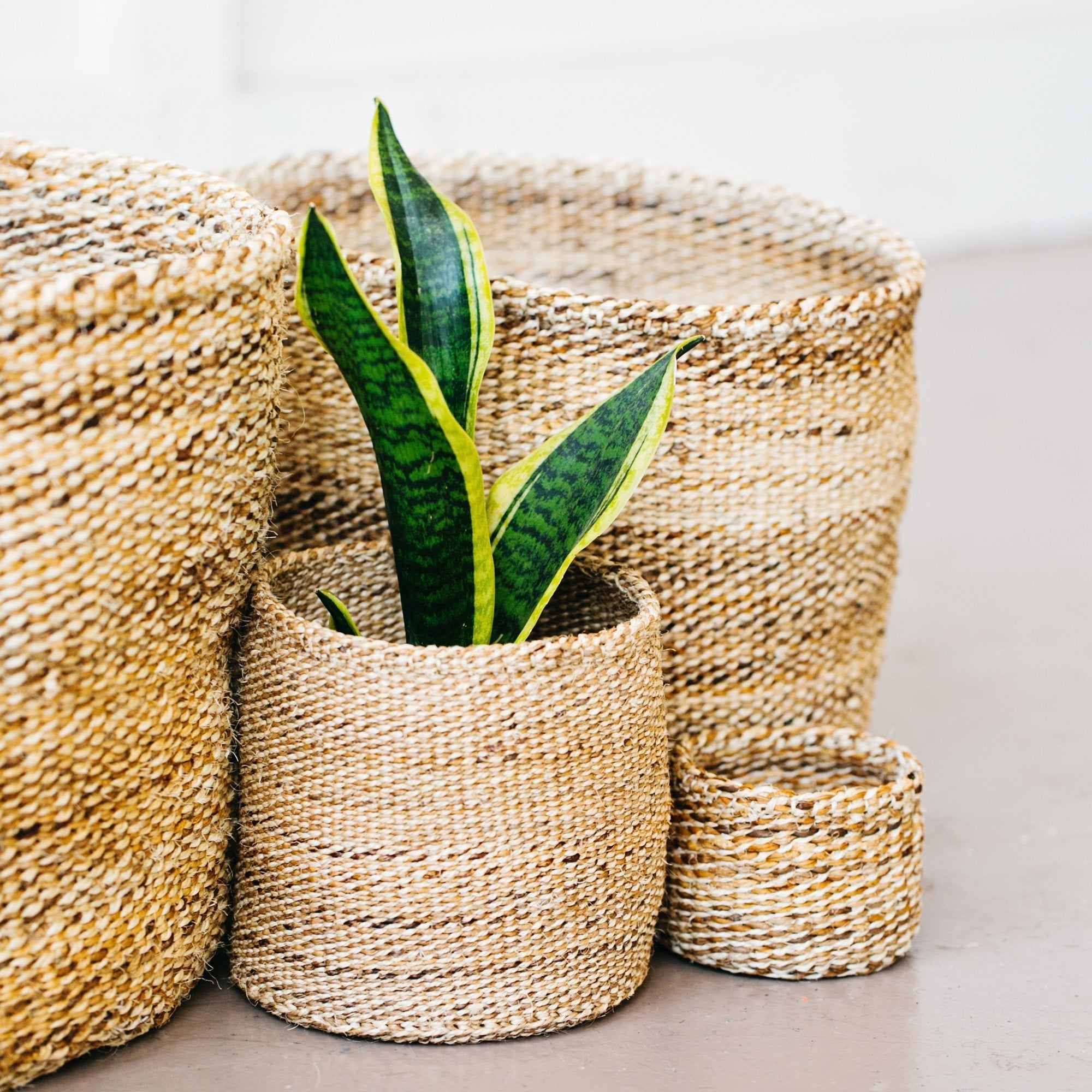 Banana Leaf Storage Basket- Assorted Sizes-Sold Individually (*Local Delivery/Local Pickup Only)-