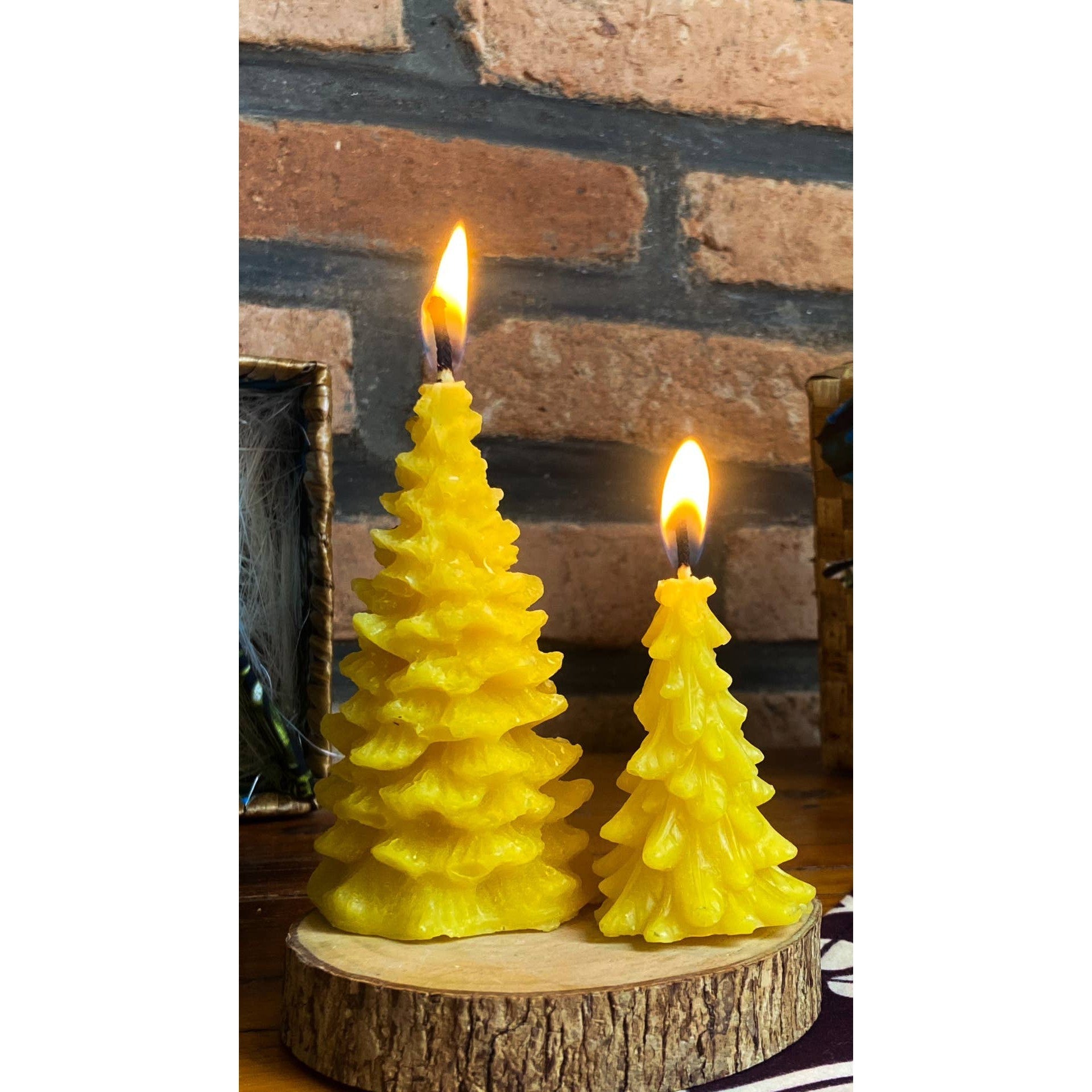 Beeswax Pine Tree Candle Gift Set