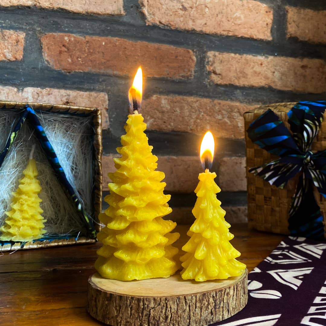 Beeswax Pine Tree Candle Gift Set