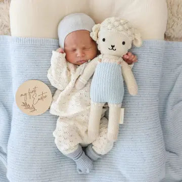 Benjamin the Lamb- Assorted Sizes- Sold Individually