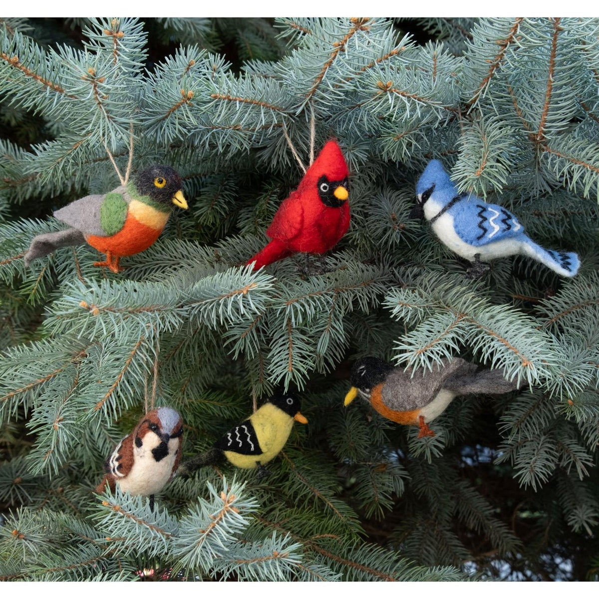 Bird Ornament- Assorted- Sold Individually