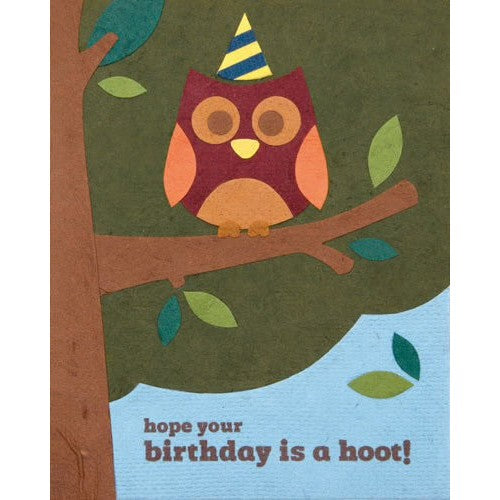 Birthday Hoot