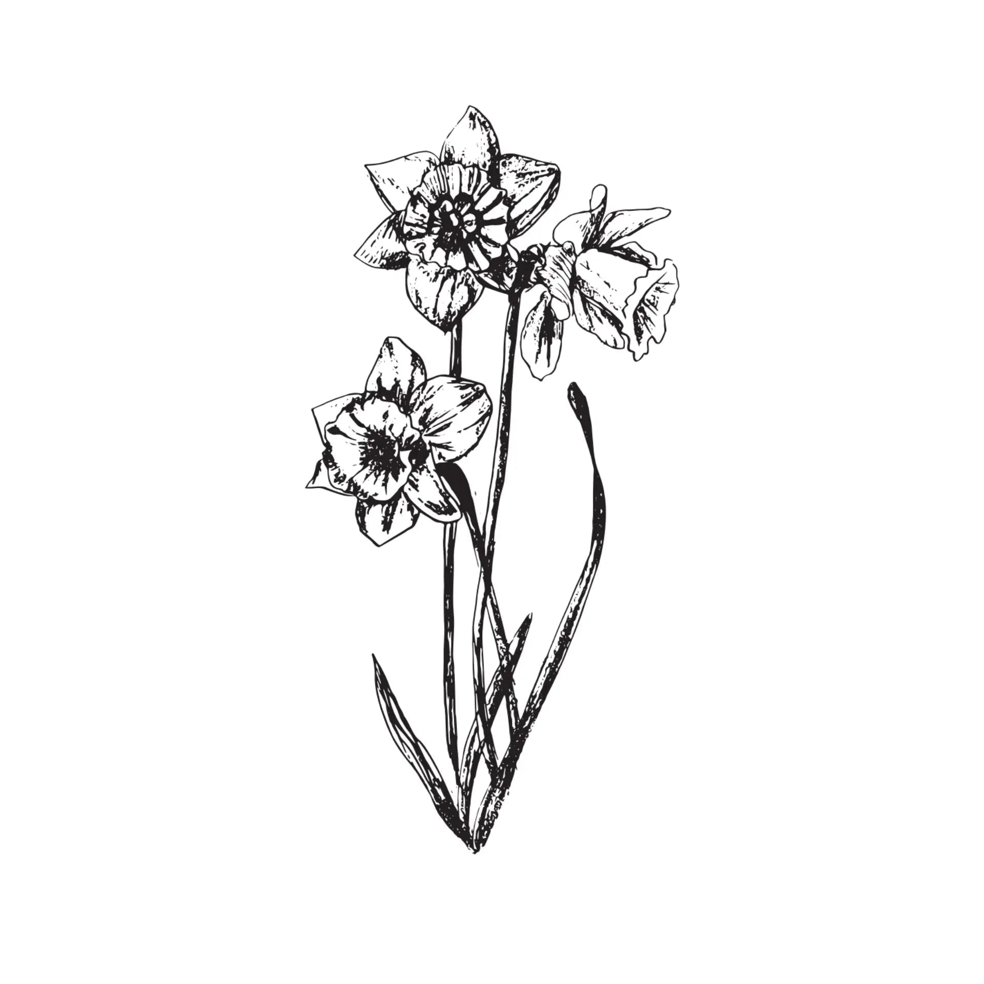 Black & White Floral Greeting Card- Assorted Designs- Sold Individually