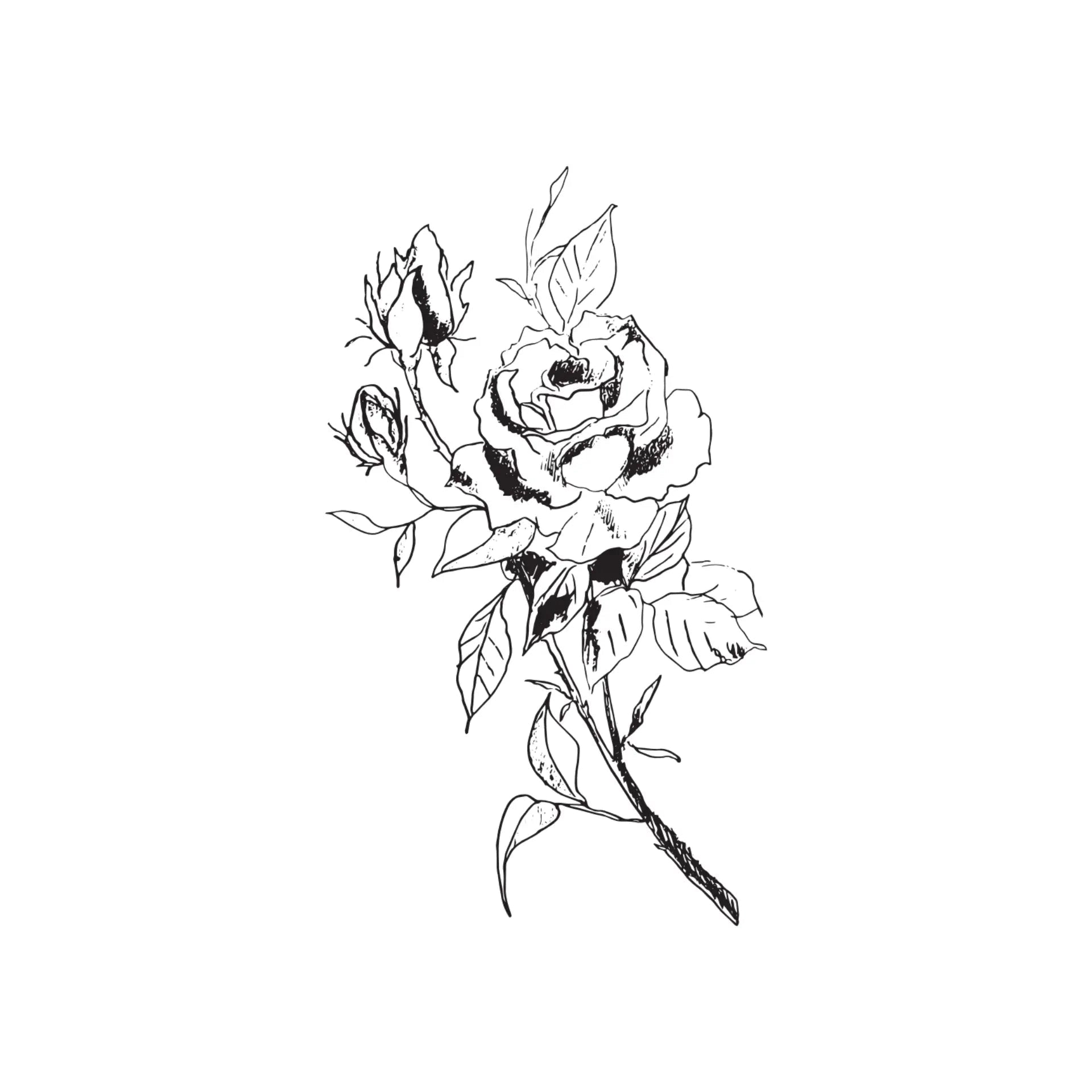 Black & White Floral Greeting Card- Assorted Designs- Sold Individually