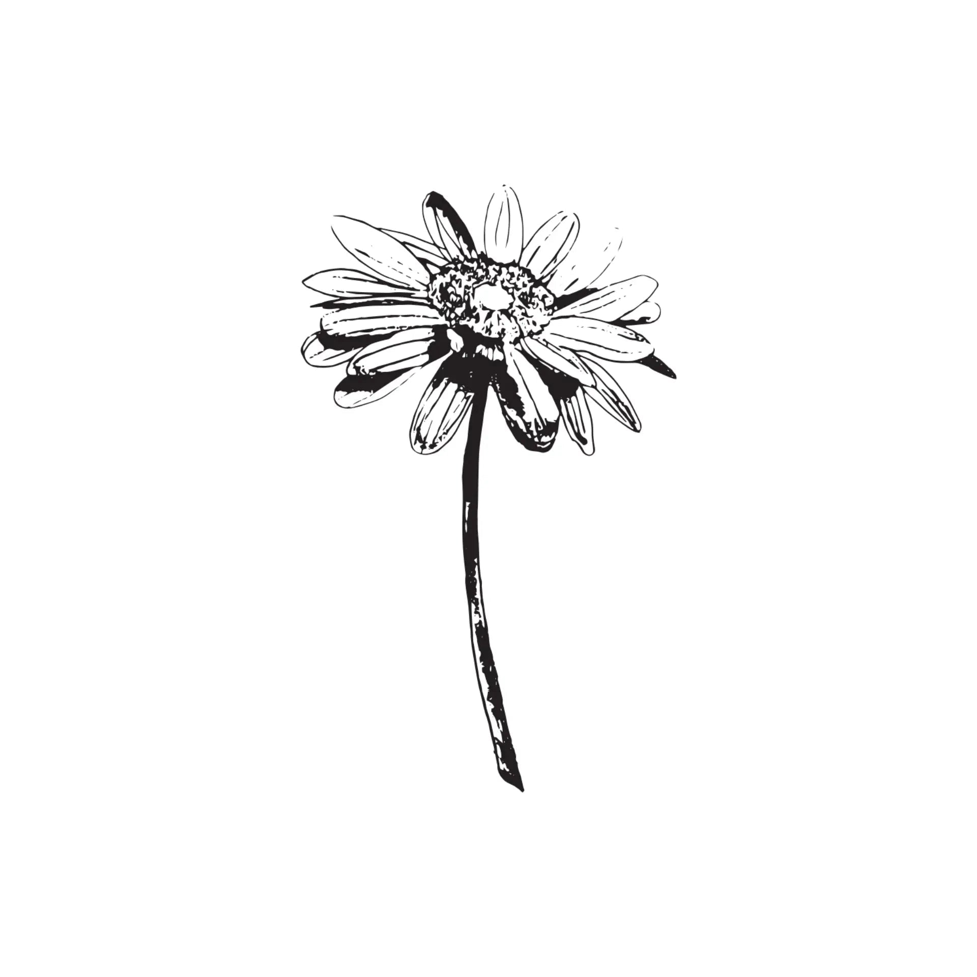 Black & White Floral Greeting Card- Assorted Designs- Sold Individually