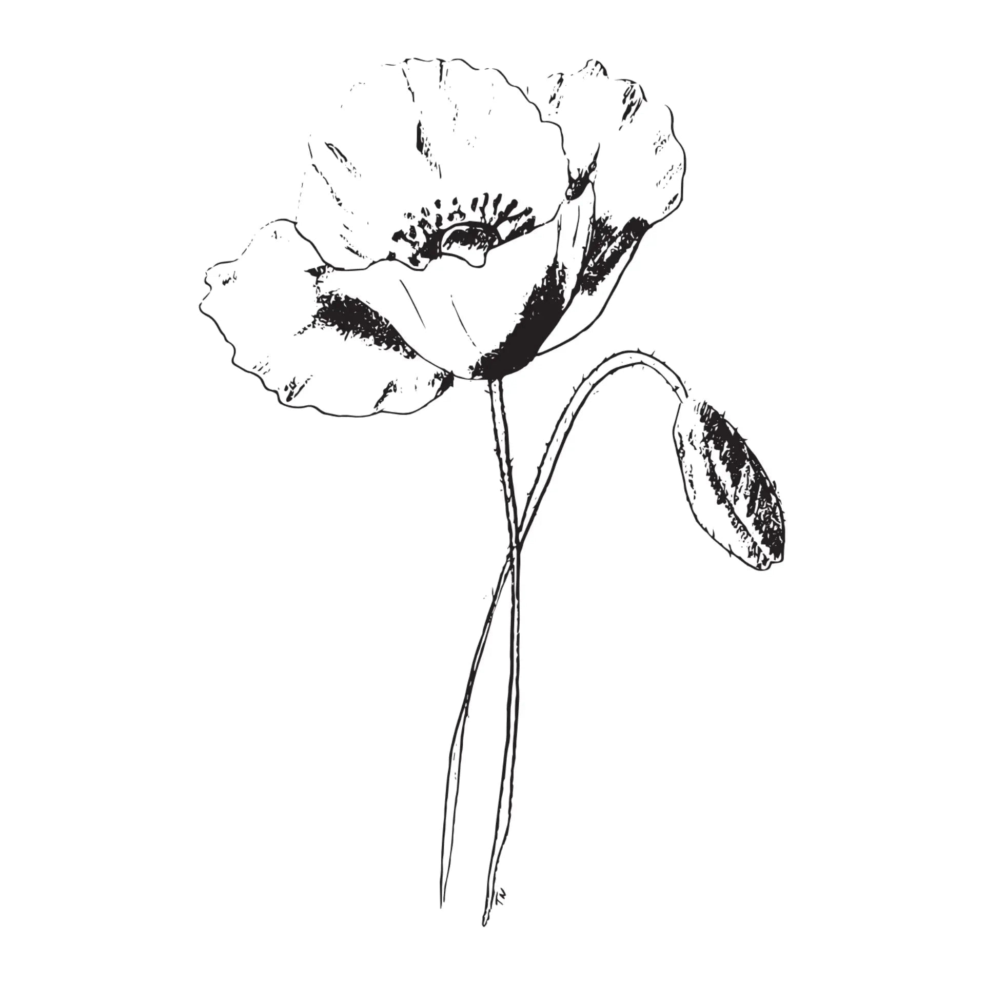 Black & White Floral Greeting Card- Assorted Designs- Sold Individually