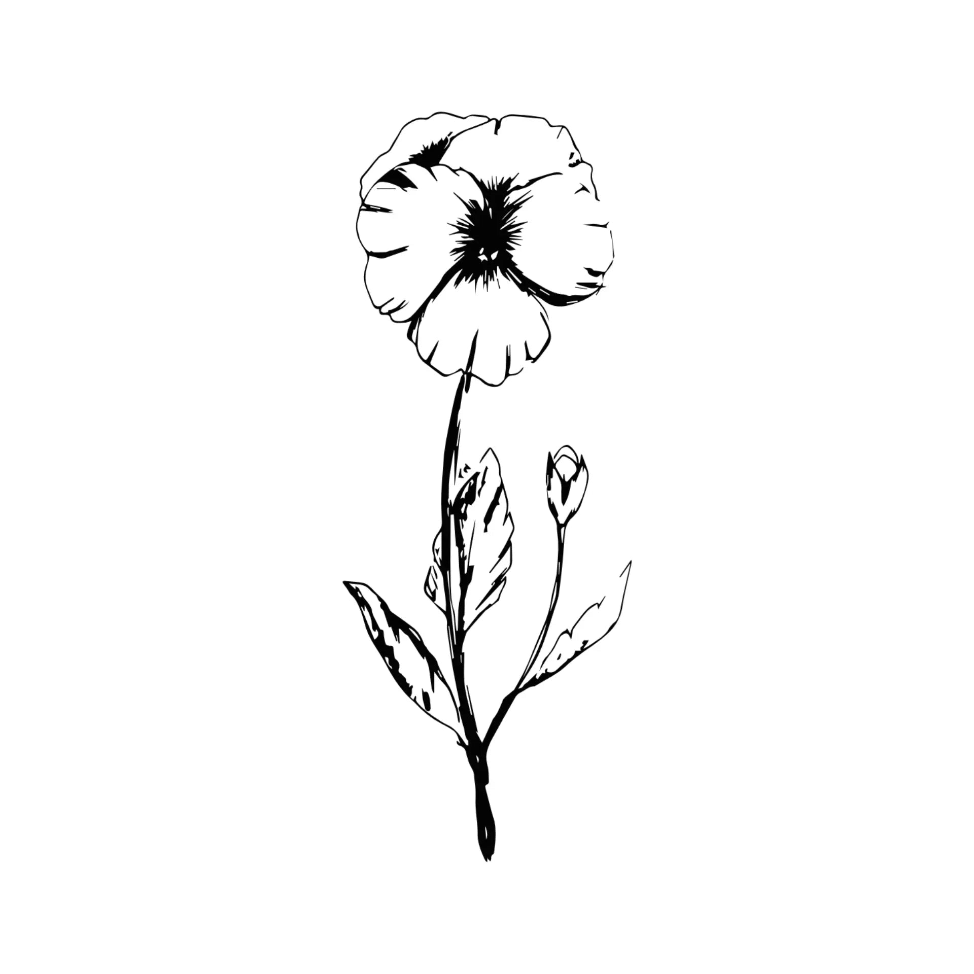 Black & White Floral Greeting Card- Assorted Designs- Sold Individually
