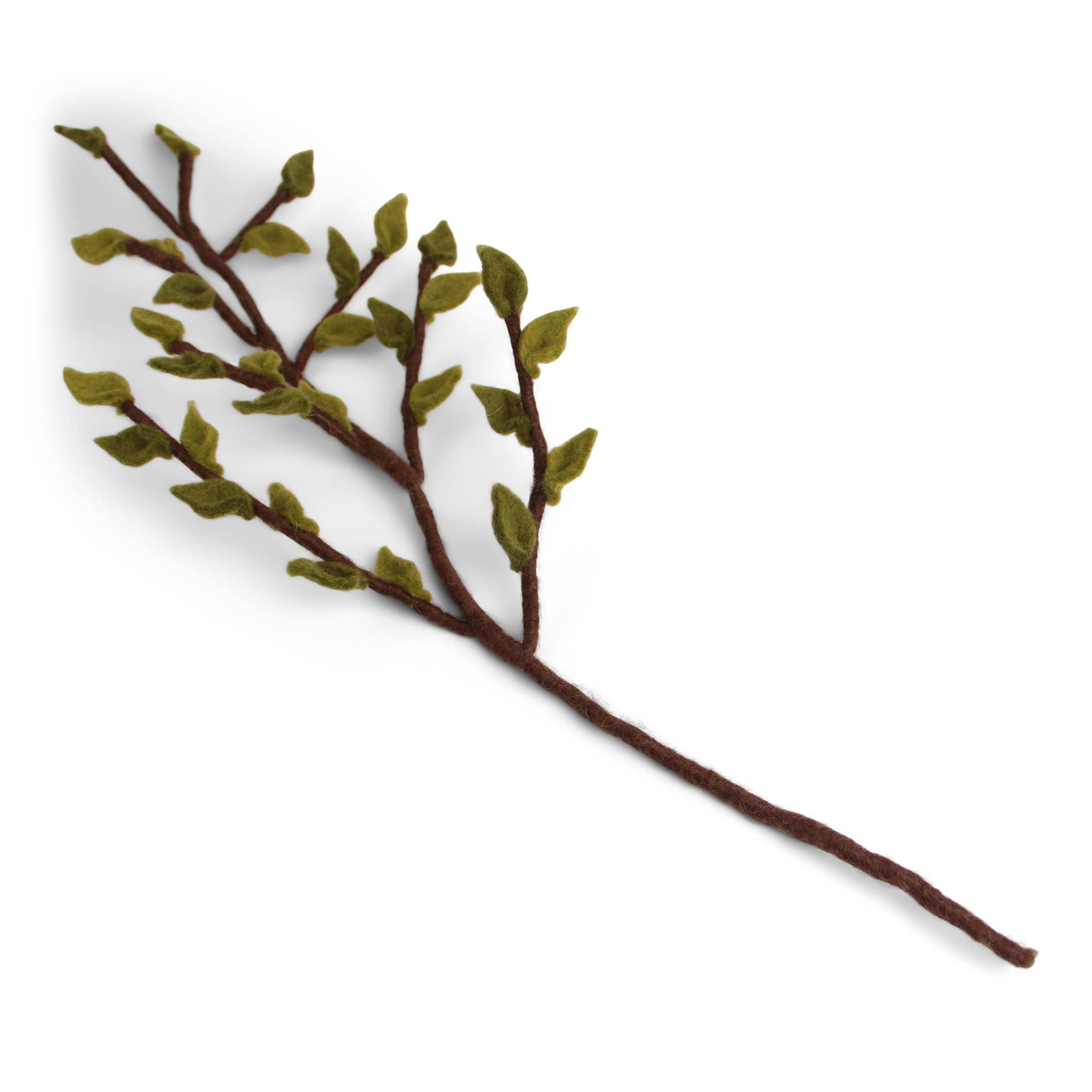 Branch with Green Leaves
