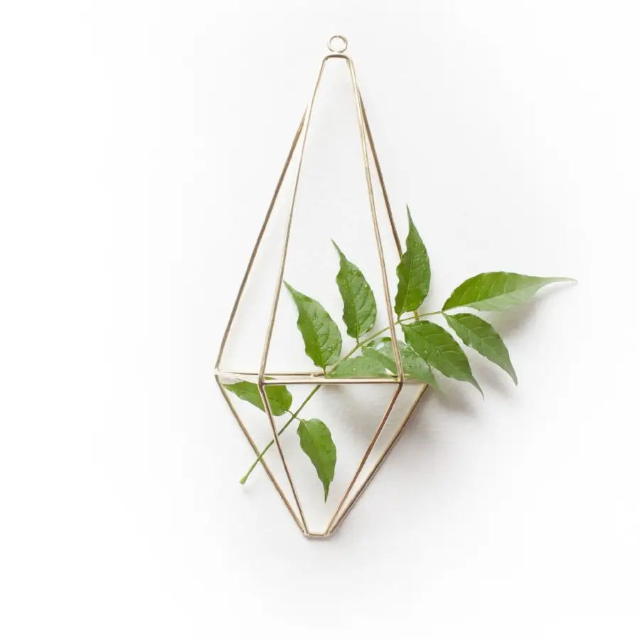 Brass Wall Planter - Assorted Sizes- Sold Individually