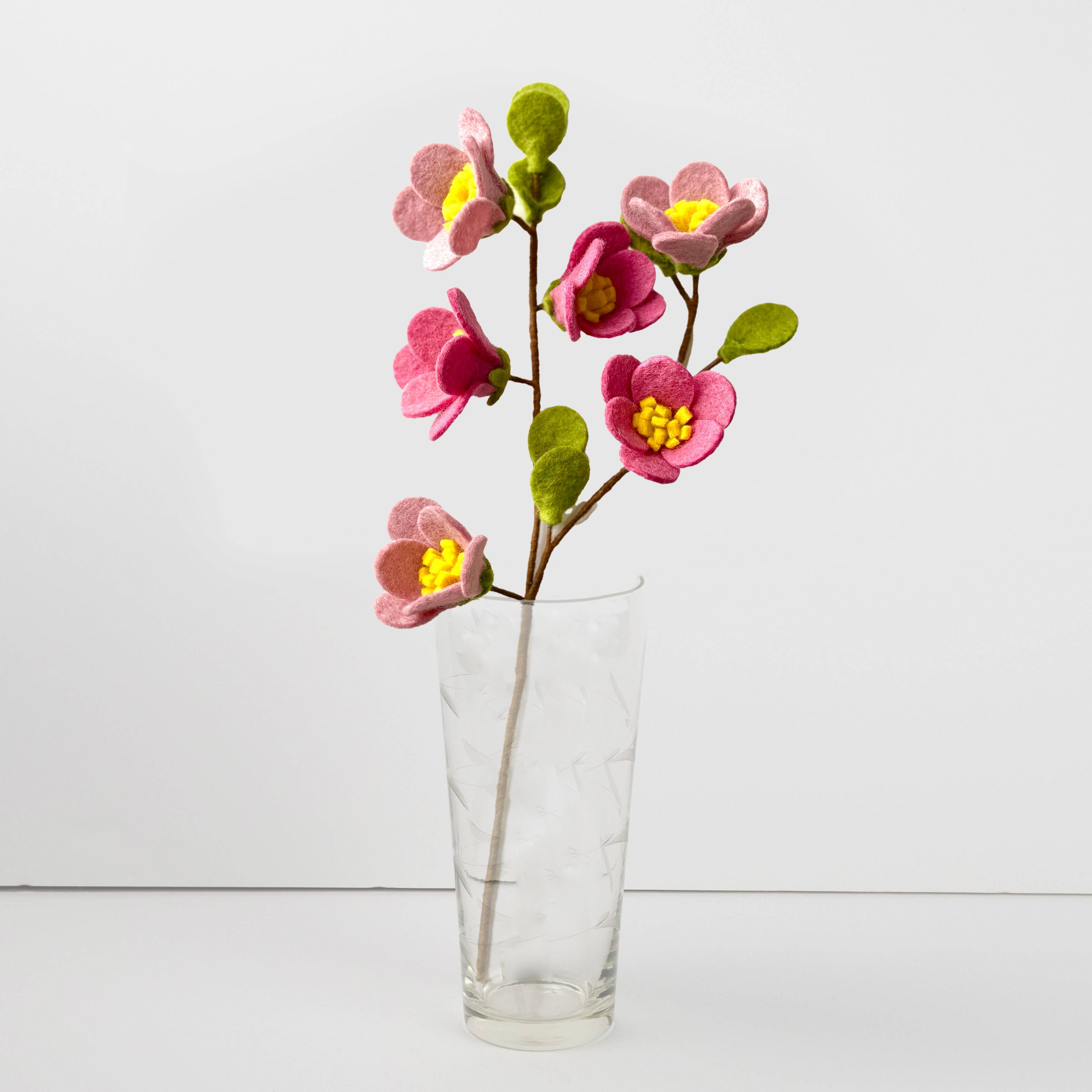 Cherry Blossom Flower Stem