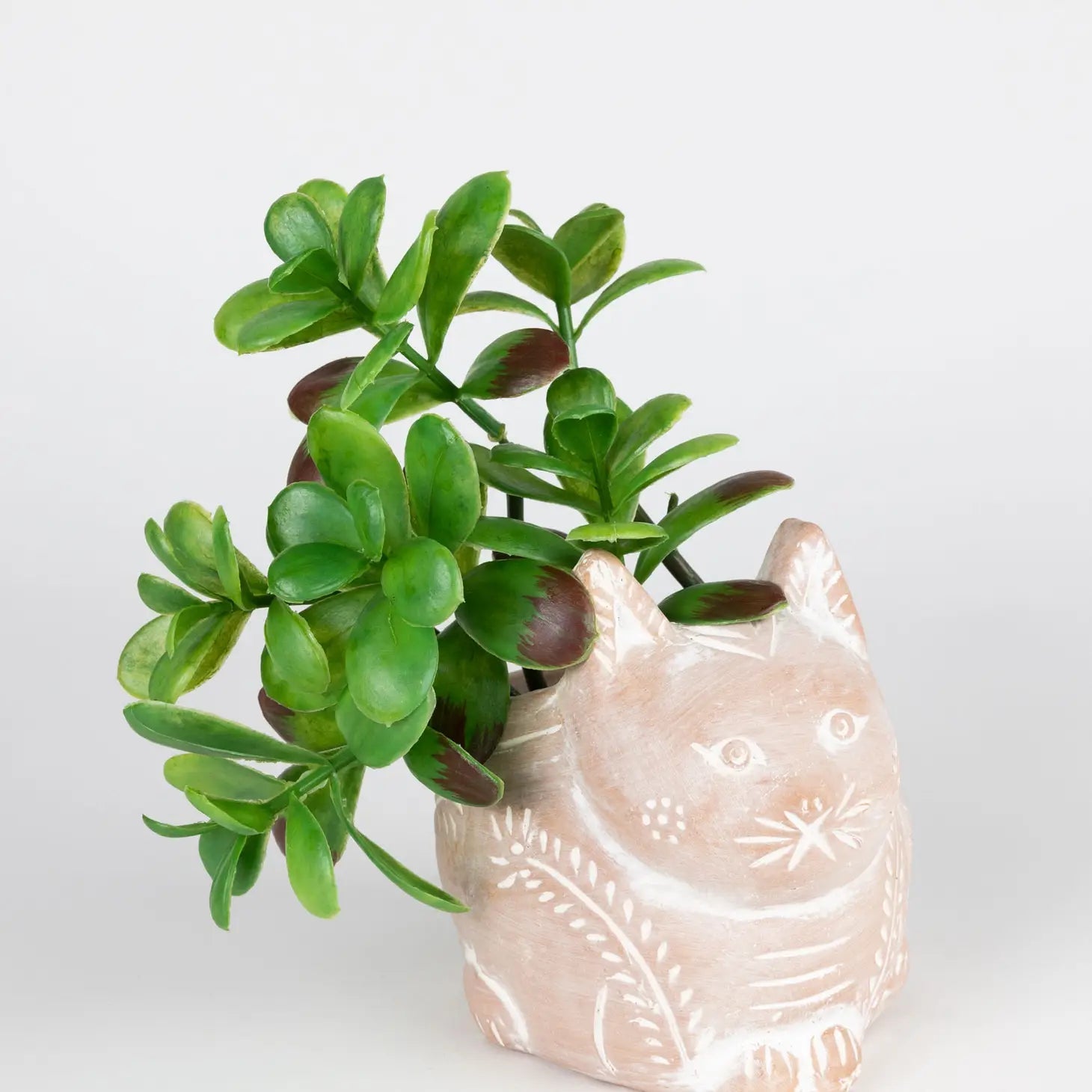 Crouching Cat Planter- Assorted Sizes (*Local Pickup/Local delivery only)