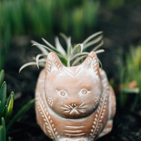 Crouching Cat Planter (*Local Pickup/ Local Delivery Only)