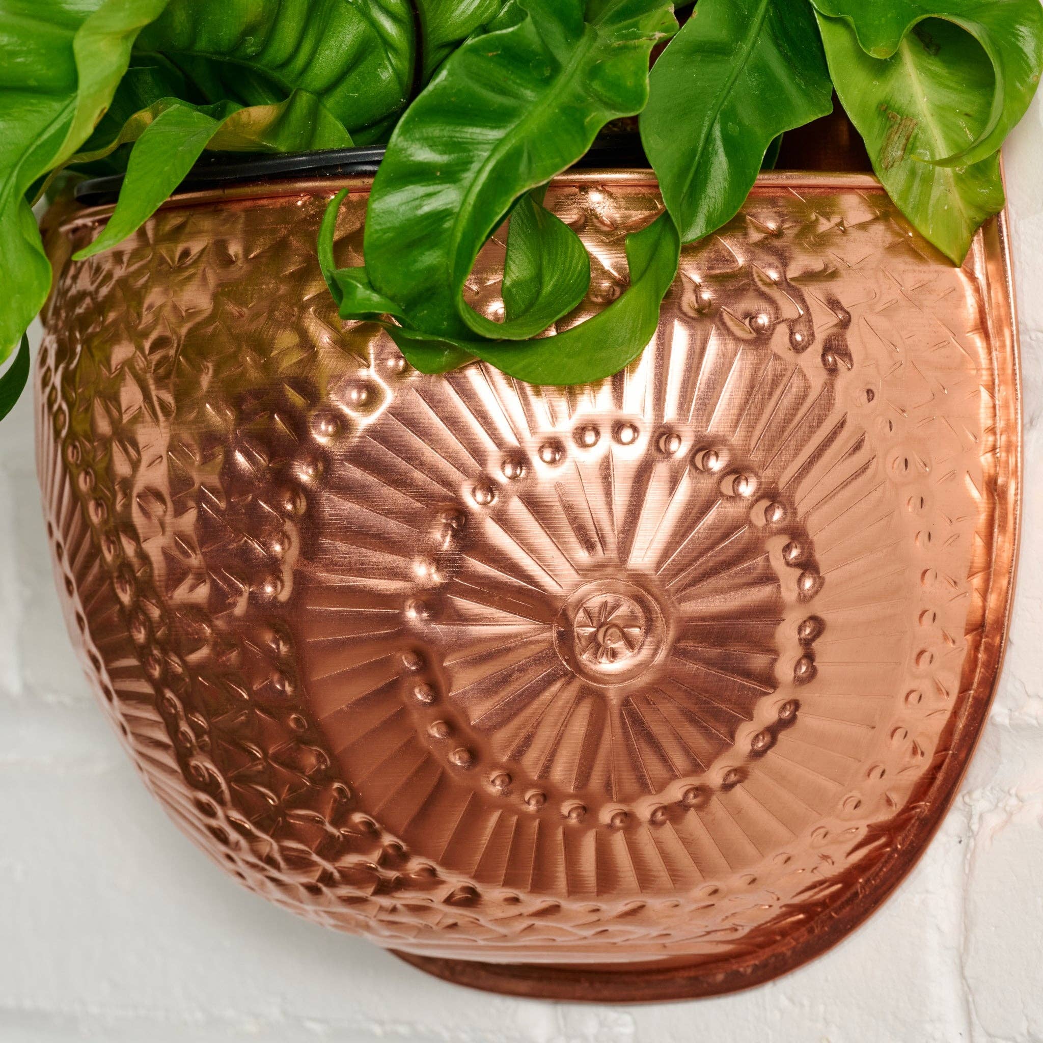 copper wall plant hanger Dekhava Embossed Wall Planter