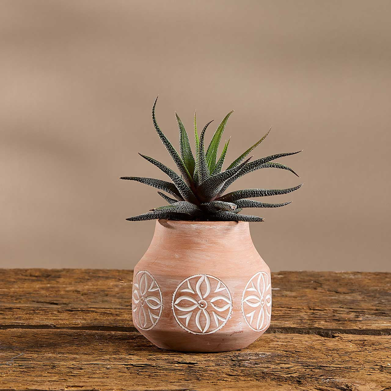 Desert Blossom Terracotta Planter (*Local Pickup/Local Delivery Only)