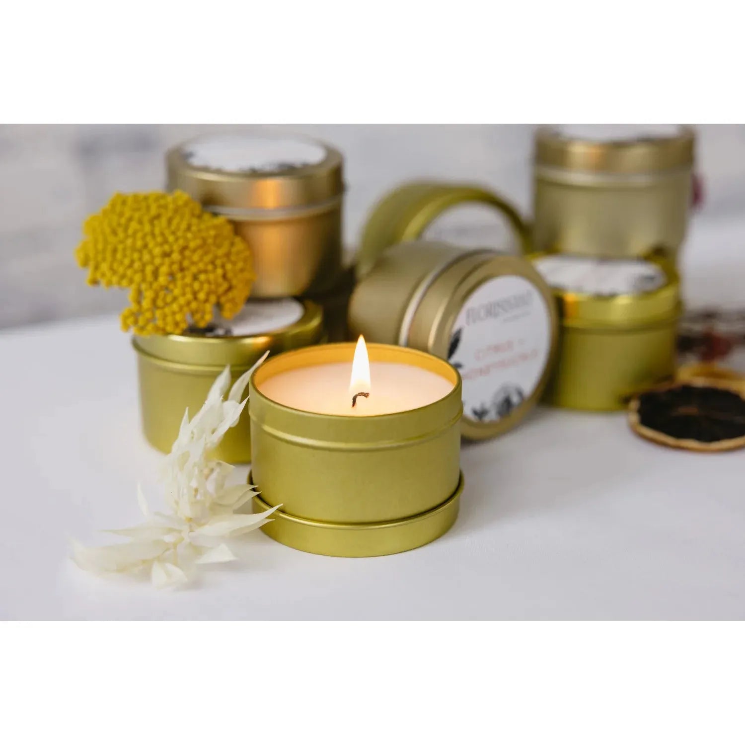 Fall Scented Florissant Collective Candles- Assorted Scents/Assorted Sizes- Sold Individually (Copy)