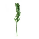 Felt Jade Stem- Assorted Colors- Sold Individually