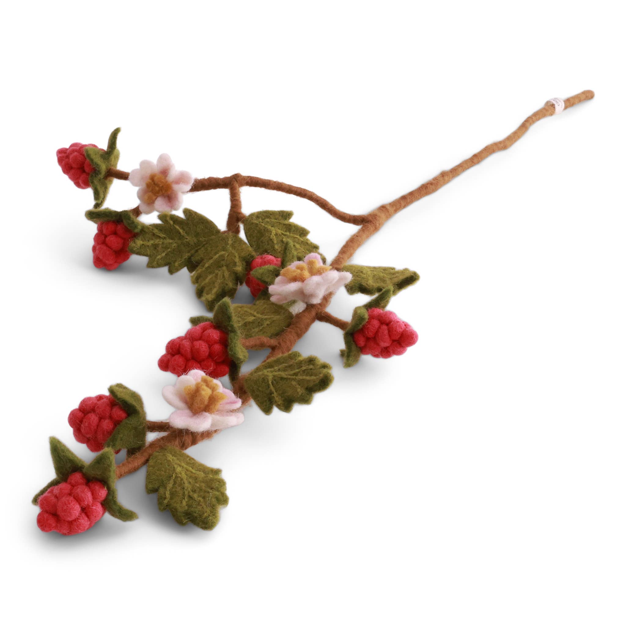 Felt Raspberry Branch