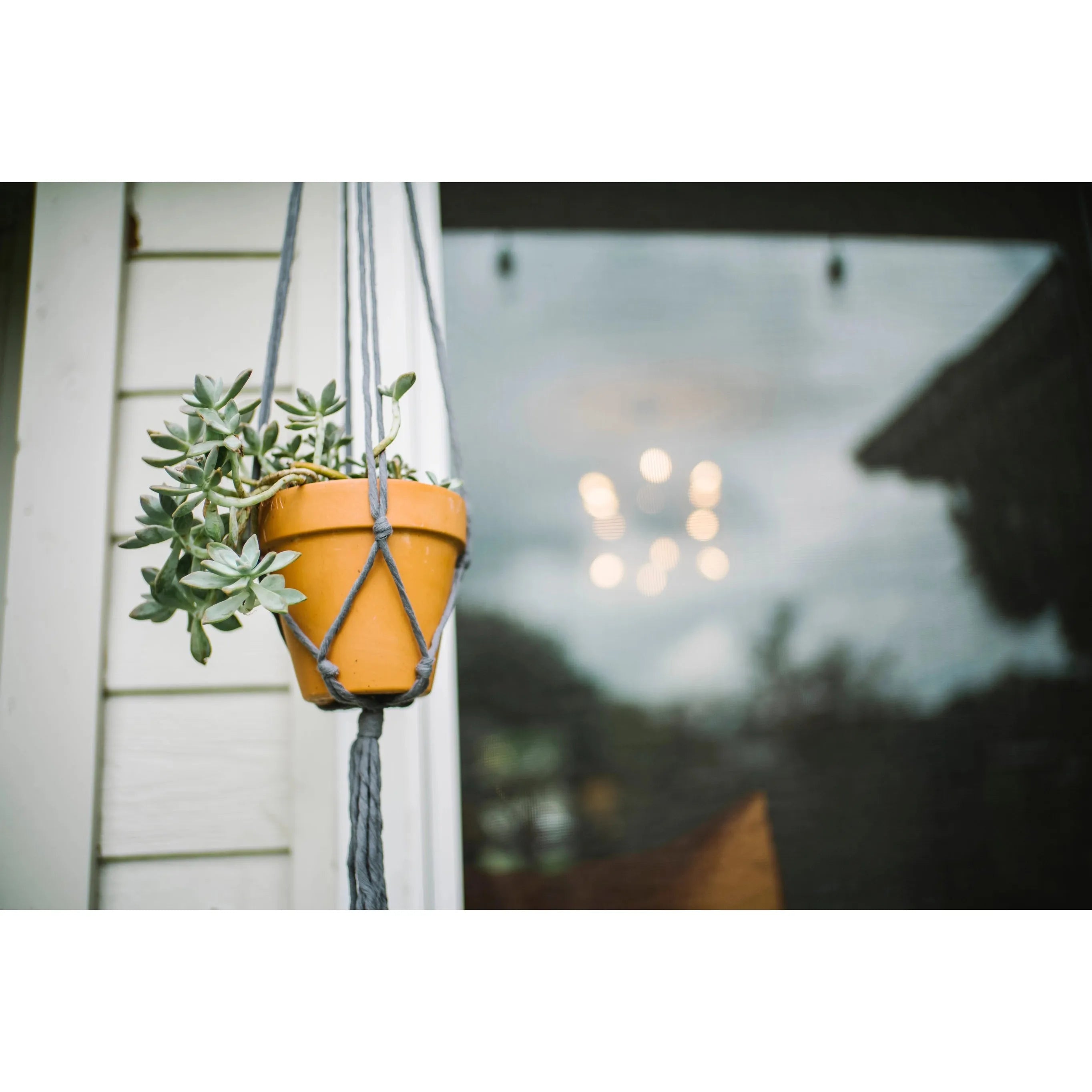 Flourish Plant Hanger- Assorted Colors- Sold Individually