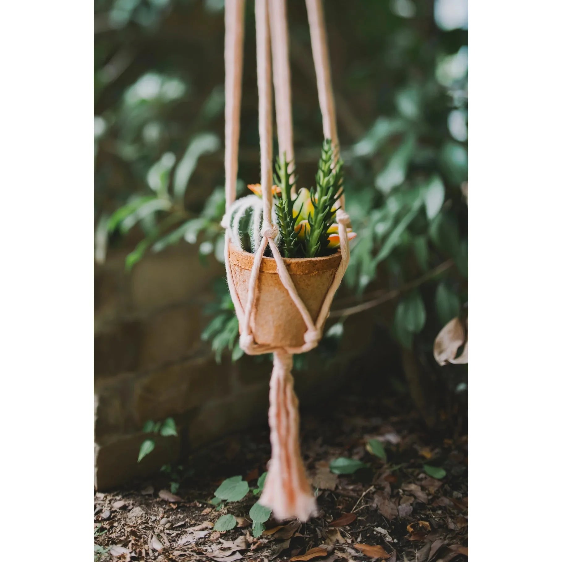 Flourish Plant Hanger- Assorted Colors- Sold Individually