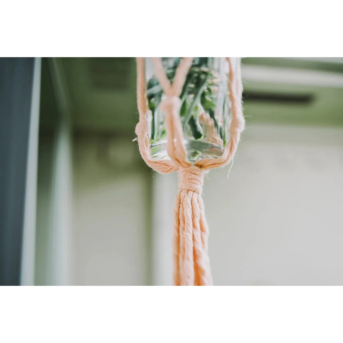 Flourish Plant Hanger- Assorted Colors- Sold Individually
