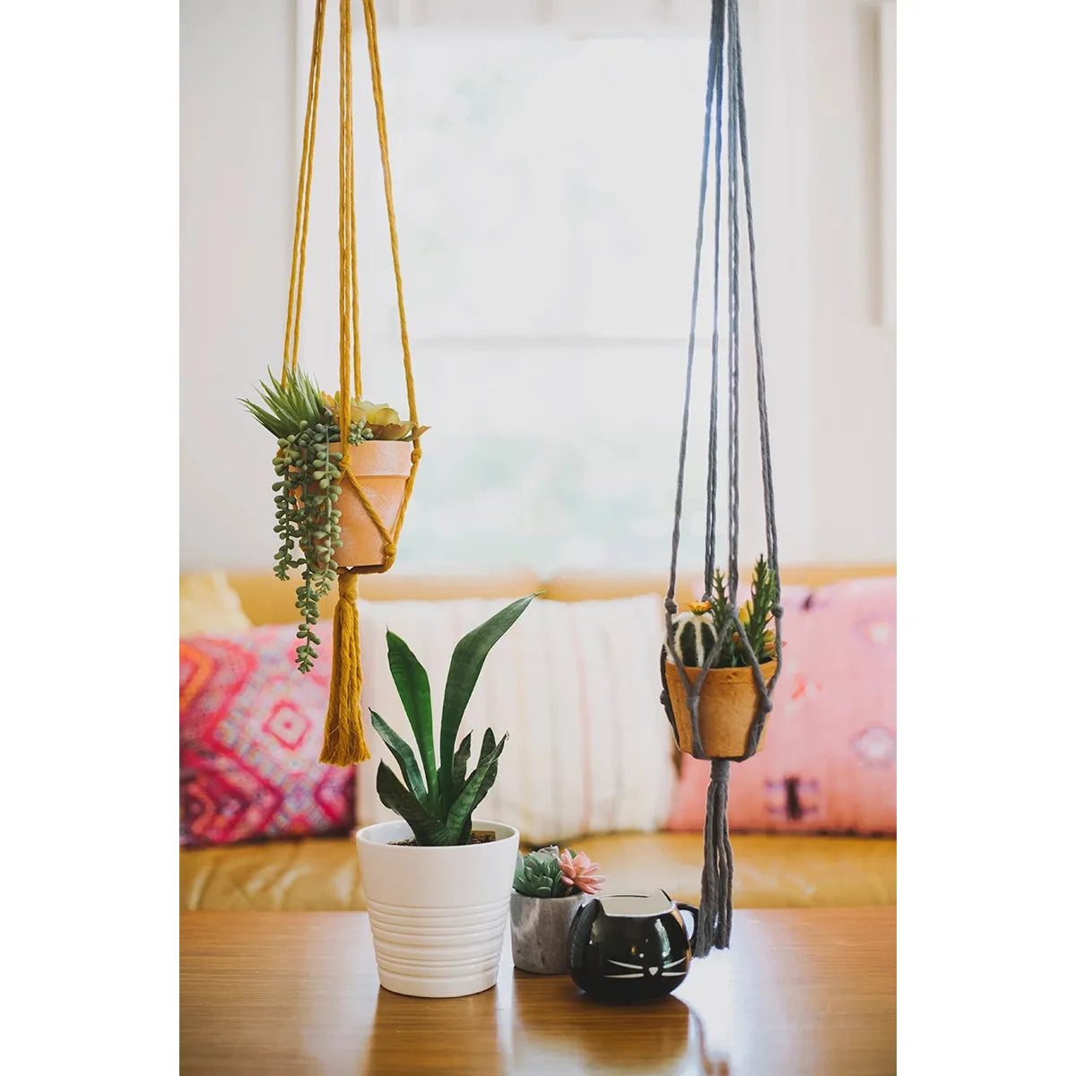 Flourish Plant Hanger- Assorted Colors- Sold Individually