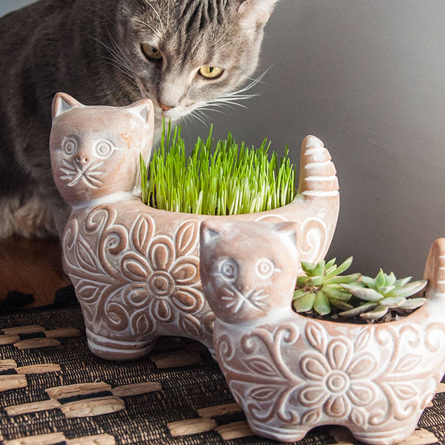 Garden Kitty Planter-Assorted Sizes-Sold Individually (*Local Pickup/Local Delivery Only)