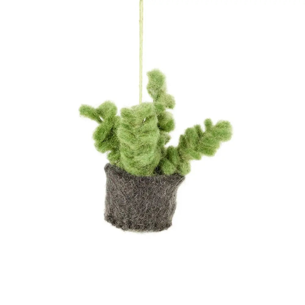 Handmade Felt Hanging Mini Plant