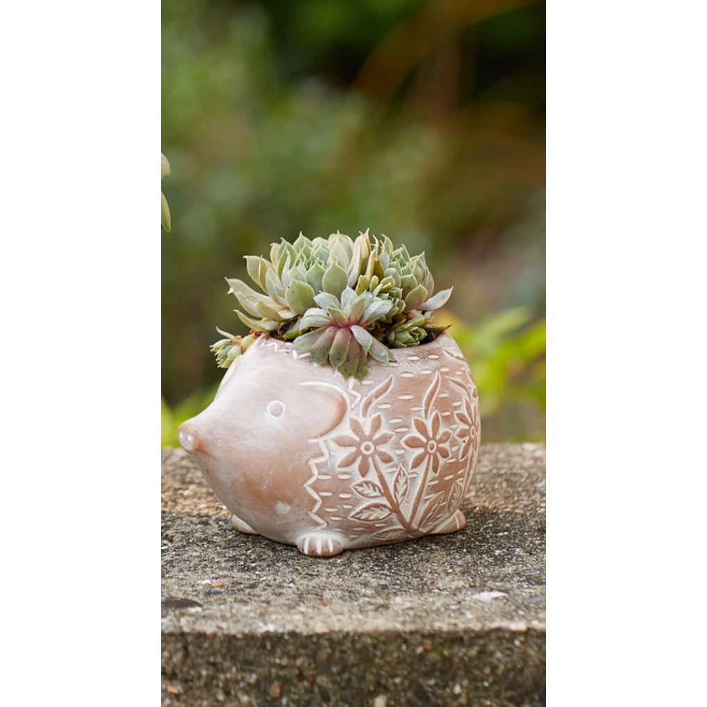 Happy Hedgehog Terracotta Planter (*Local Pickup/Local Delivery Only)