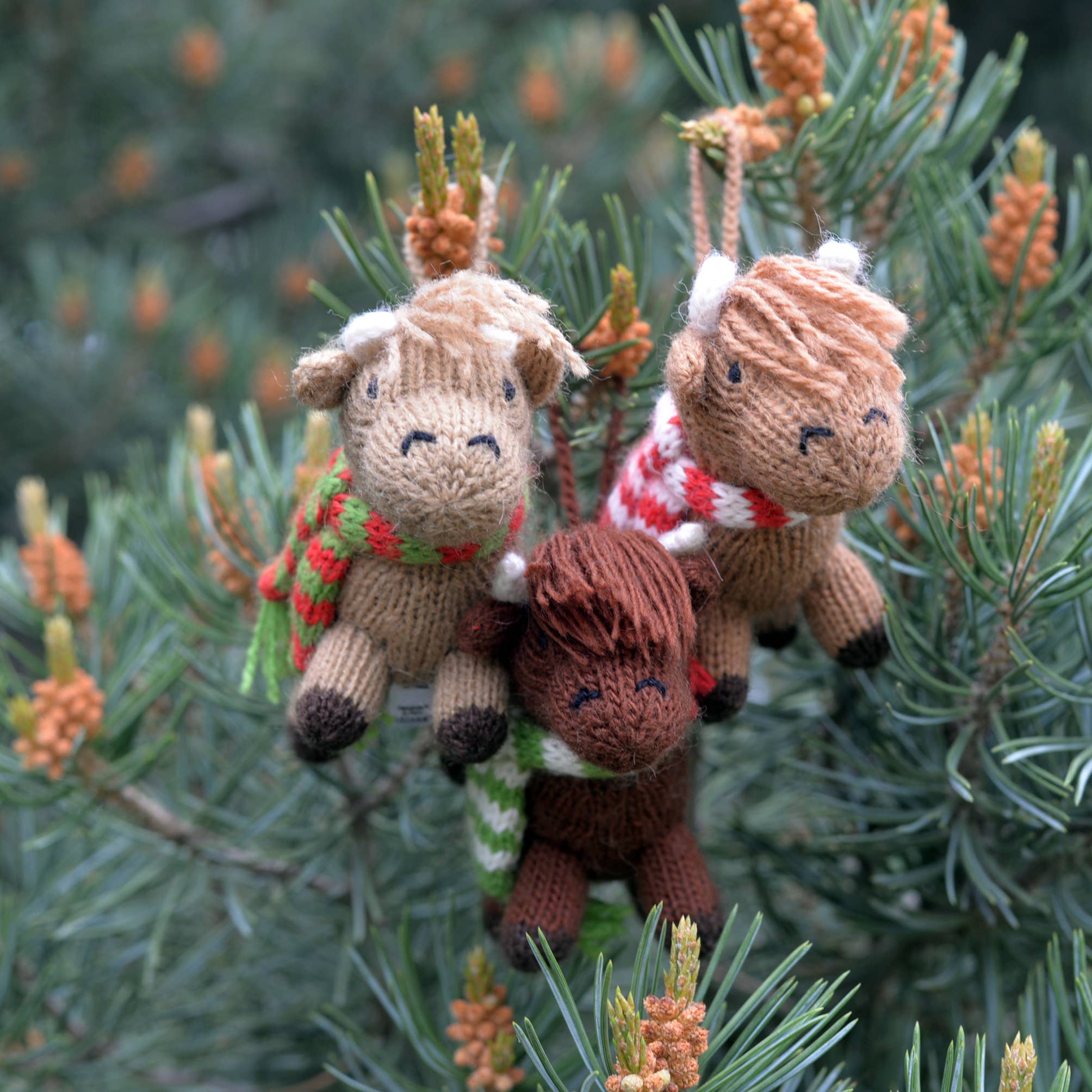 Highland Cow Ornament- Sold Individually