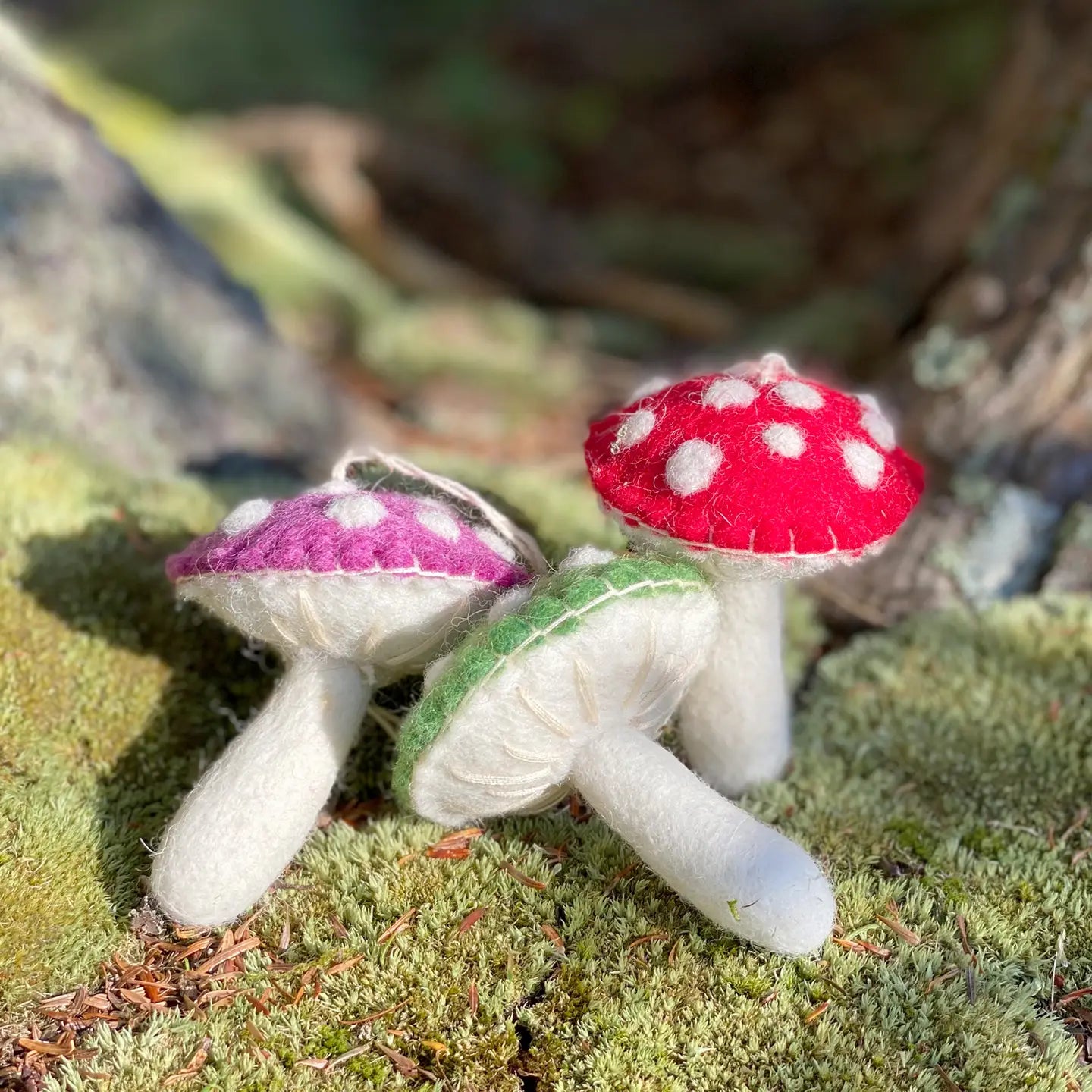 Wild Mushroom Ornament- Assorted Colors