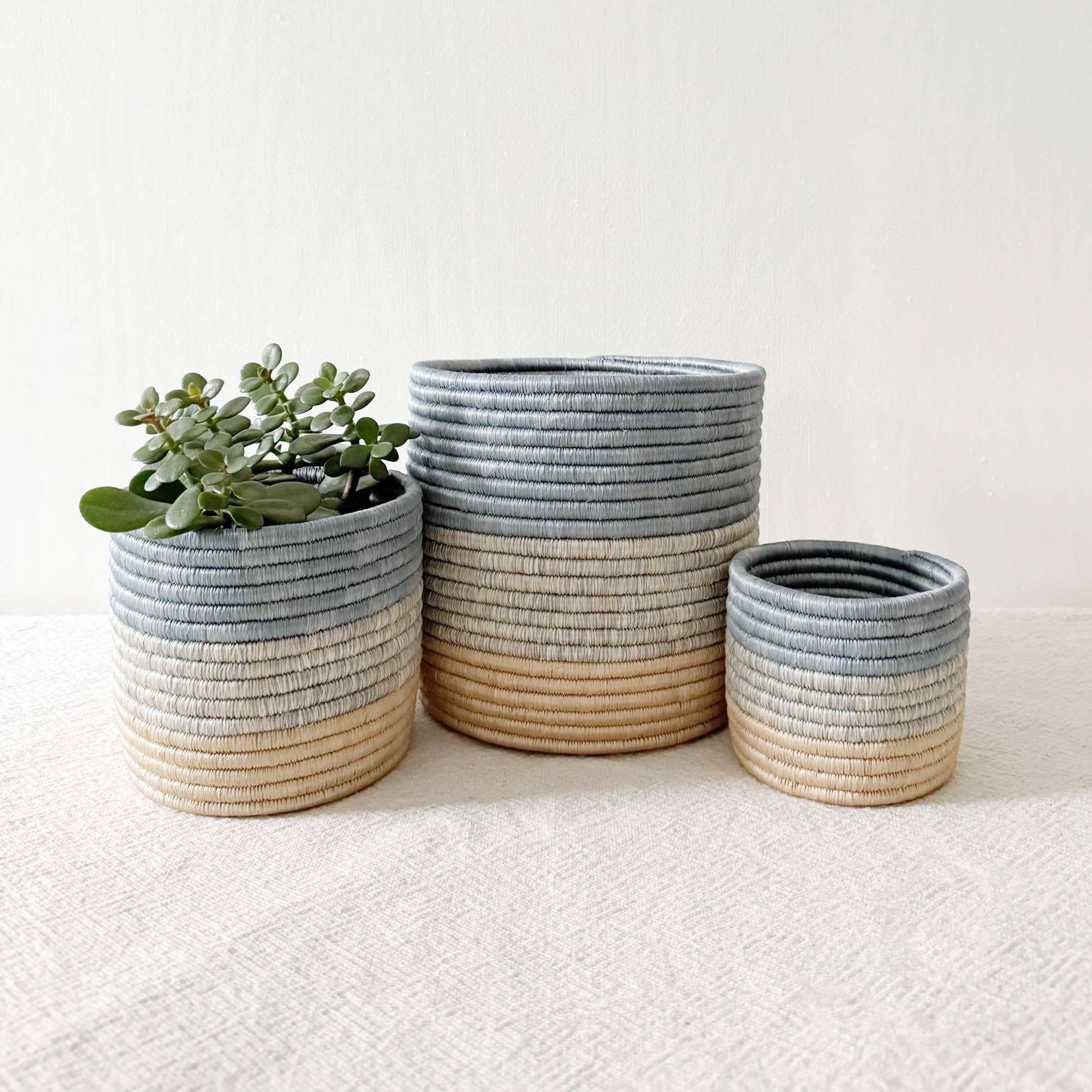 Luako Sweetgrass Basket- Assorted Sizes- Sold Individually