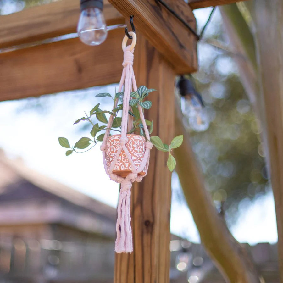 Mini Flourish Plant Hanger